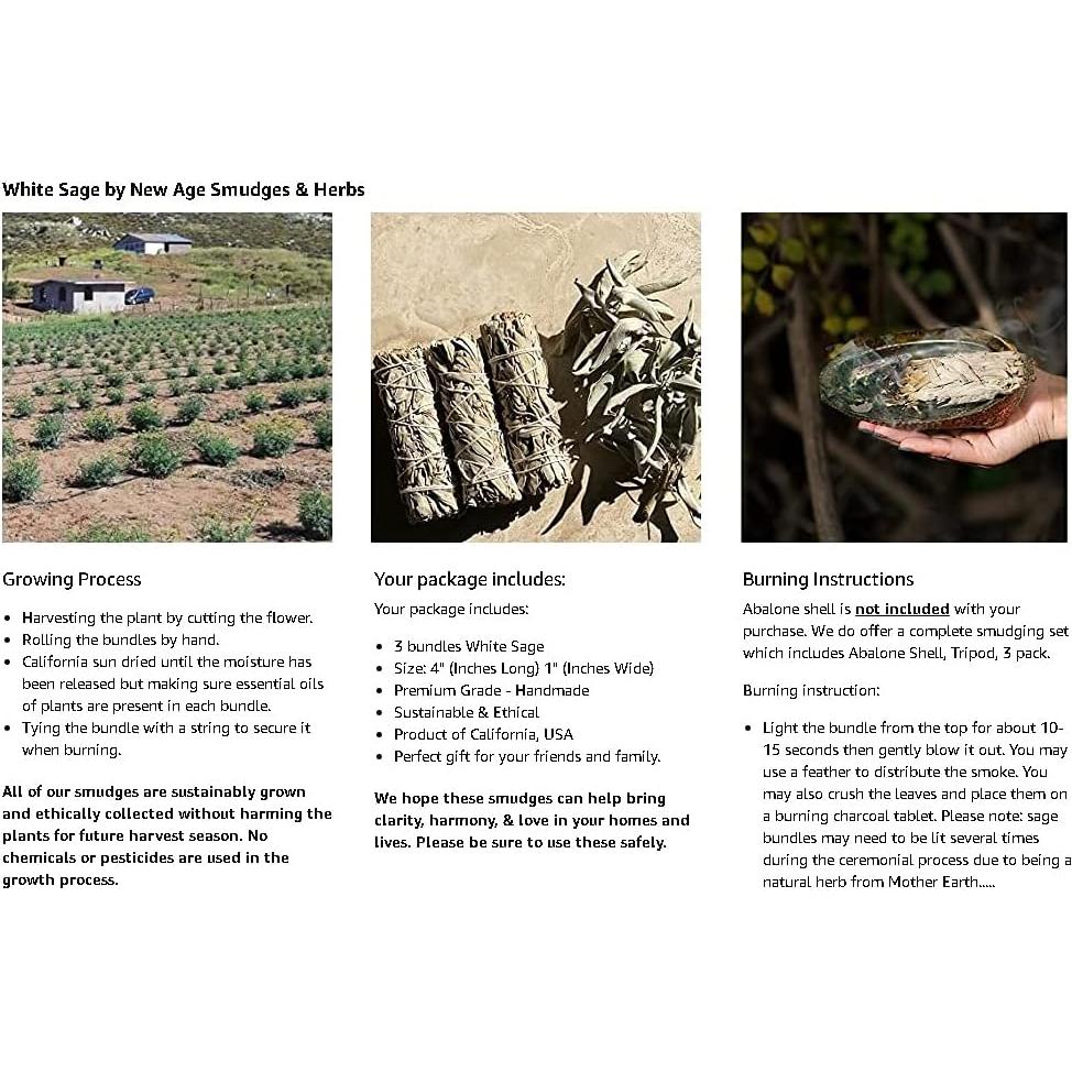 Incienso Premium Salvia Blanca - Paquete de 3 Manojos 10.2 cm