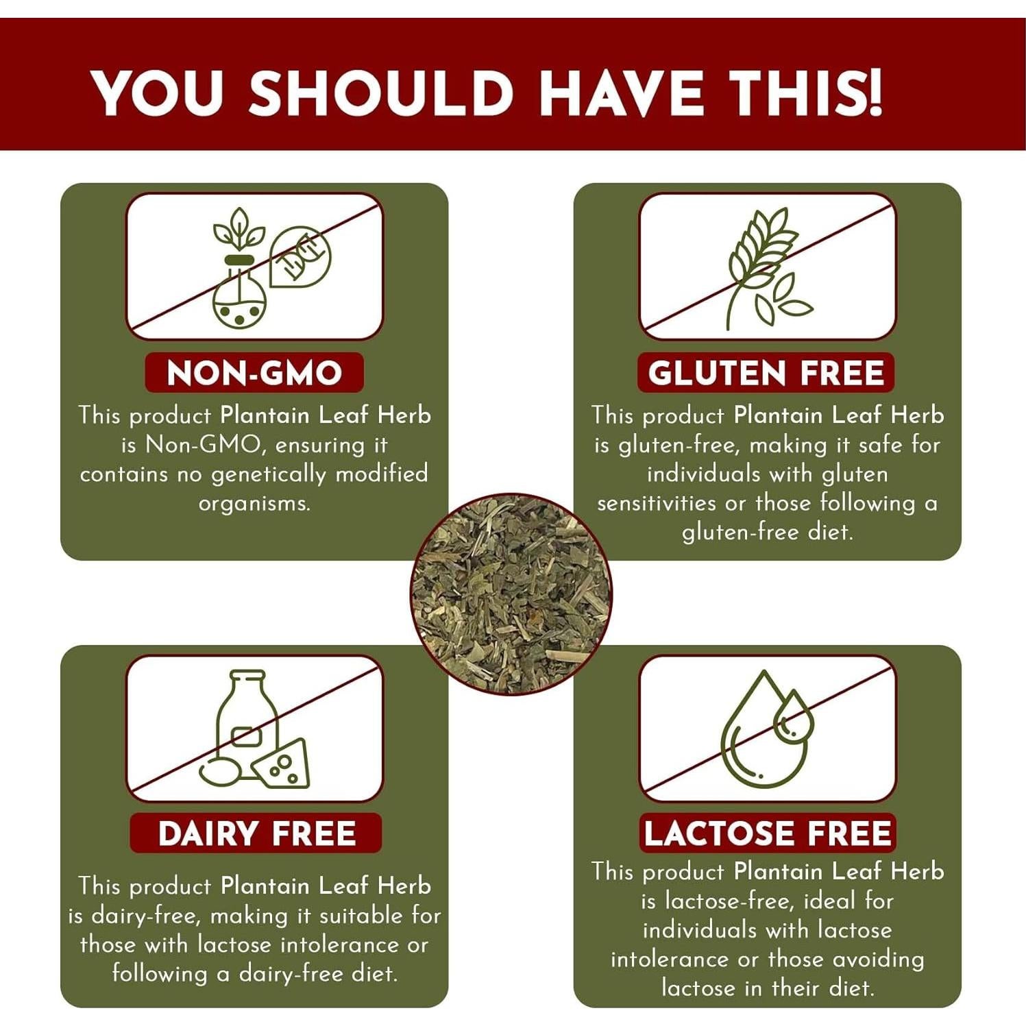 Hoja de Plátano Orgánica Cortada 113 g - Organic Way