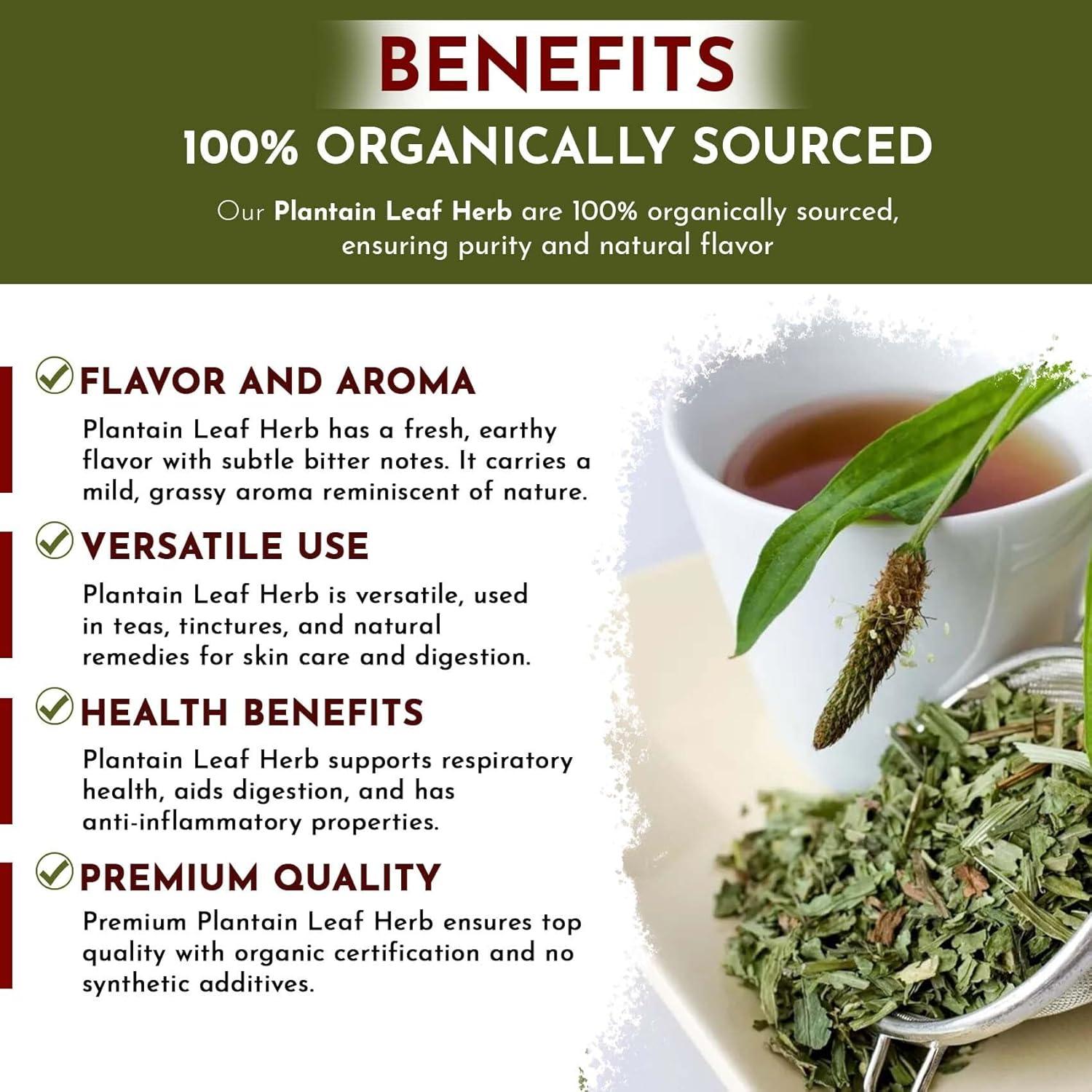 Hoja de Plátano Orgánica Cortada 113 g - Organic Way