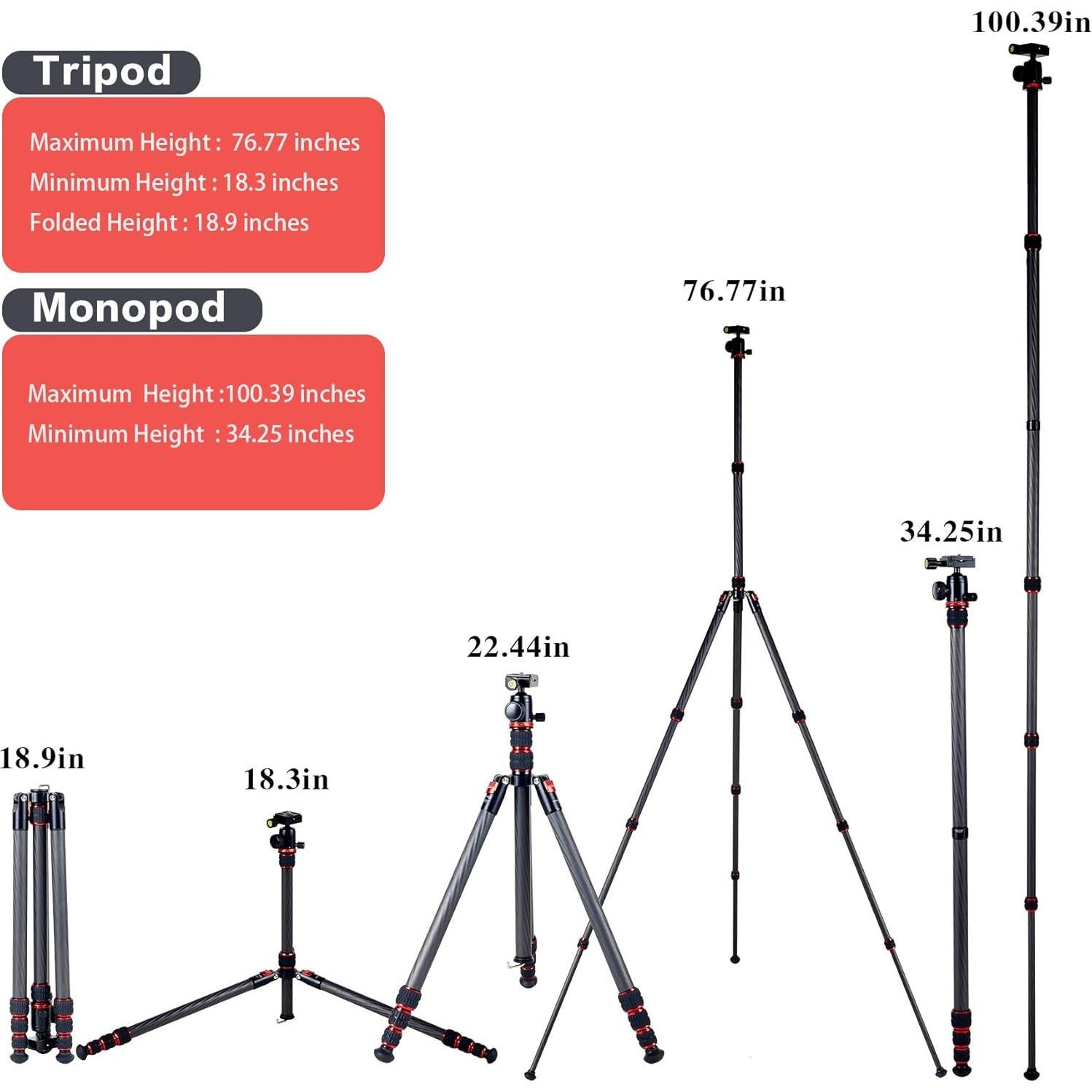 Trípode de fibra de carbono DMIDITIR T555 195 cm 12 kg