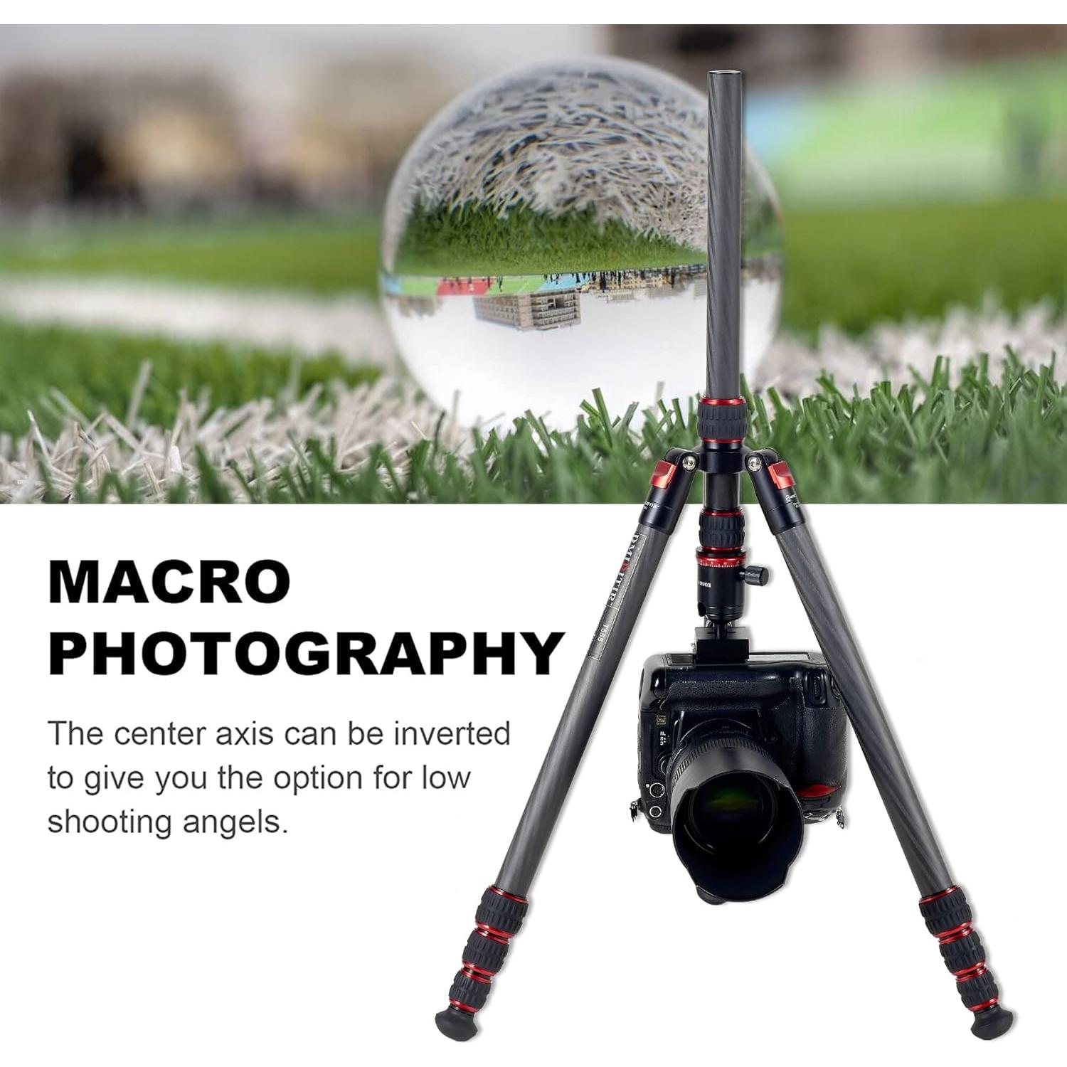 Trípode de fibra de carbono DMIDITIR T555 195 cm 12 kg