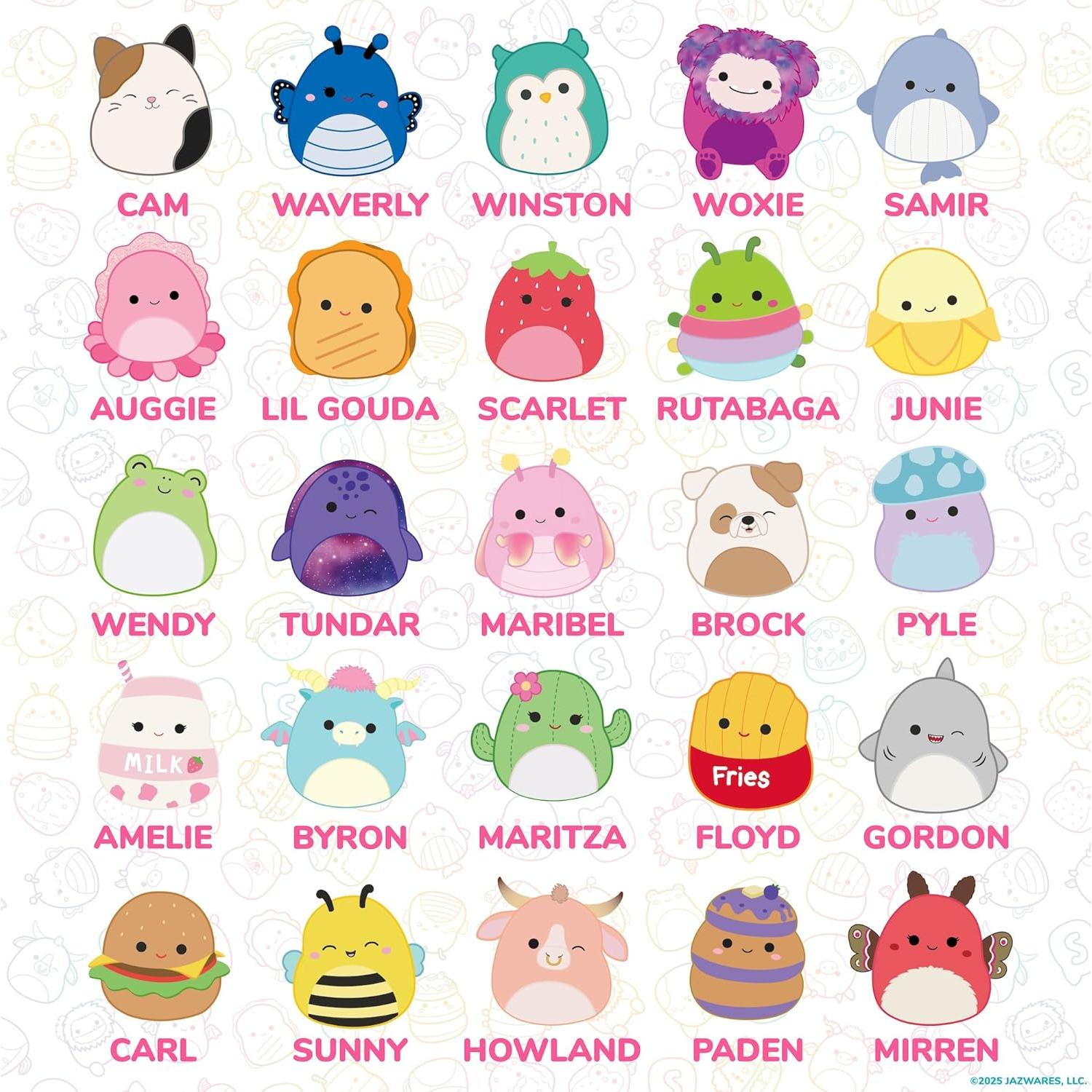 Conjunto de 25 Borradores Mini Squishmallows Originales