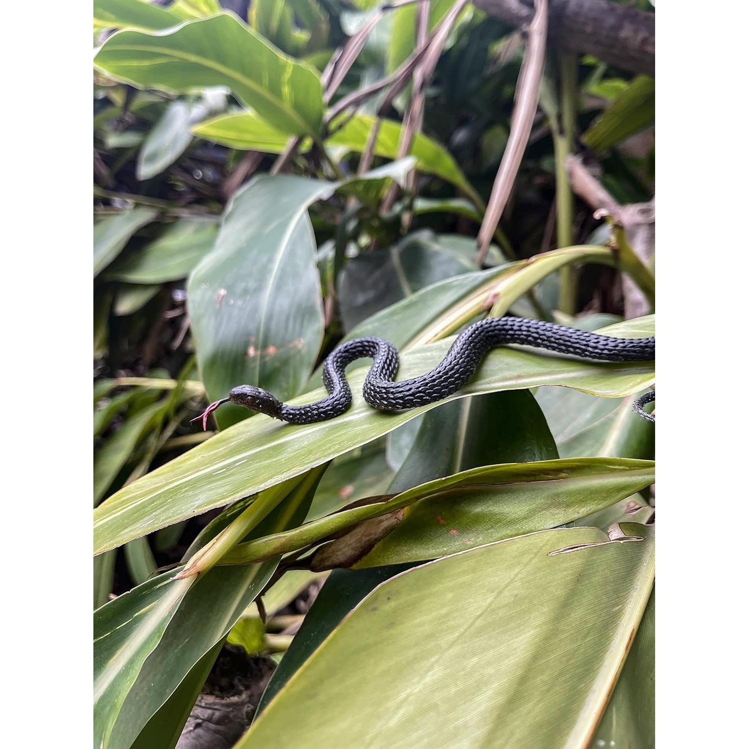 Juguete de Serpiente Falsa HOHAJIU 10 PCS Realista 24-45 cm