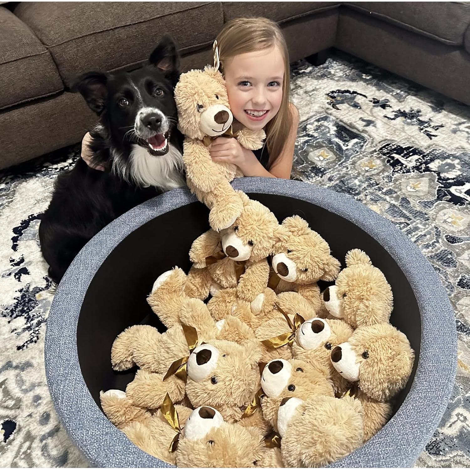 Lote de 10 Osos de Peluche MaoGoLan 34.3 cm para Eventos