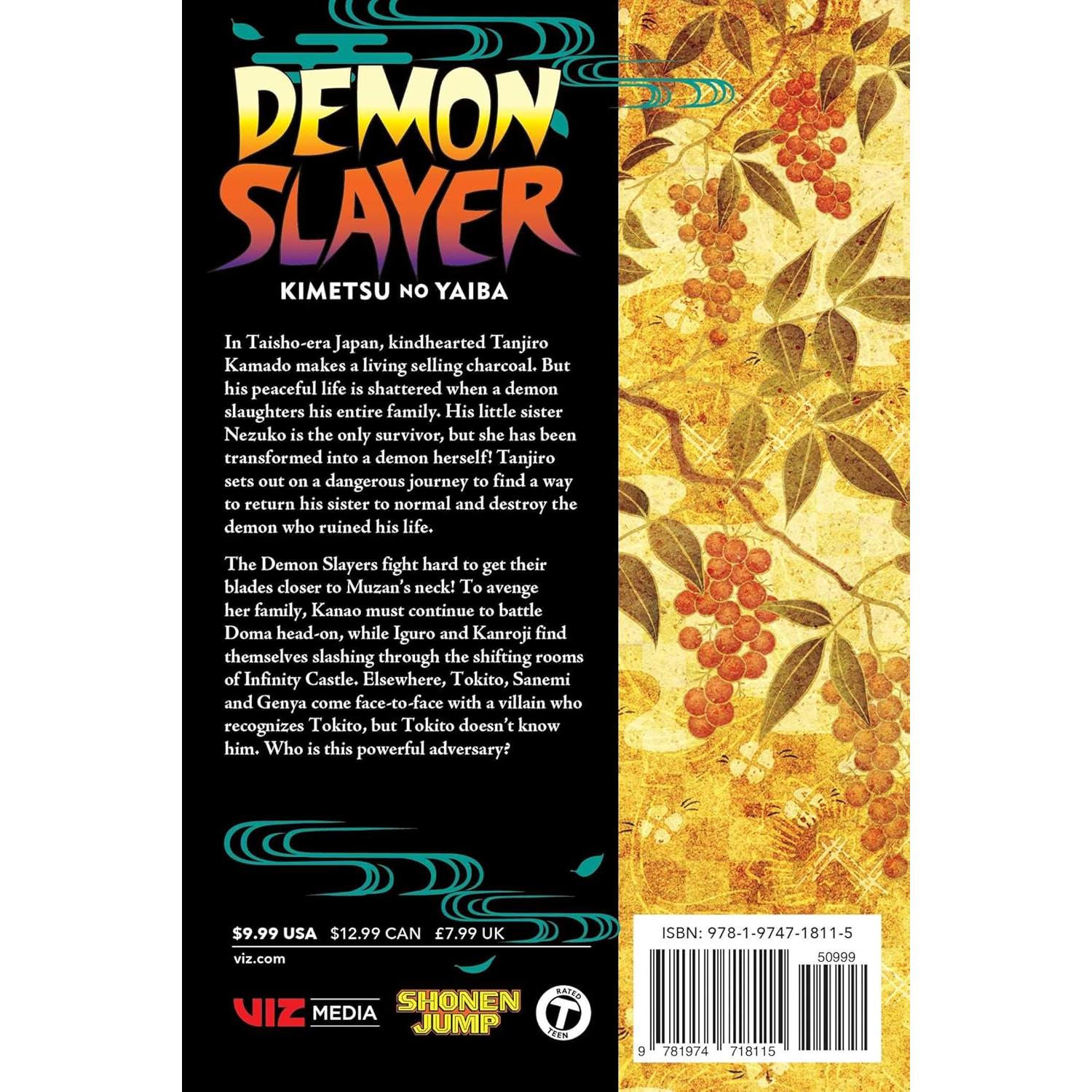 Demon Slayer: Kimetsu no Yaiba, Vol. 19 (19)