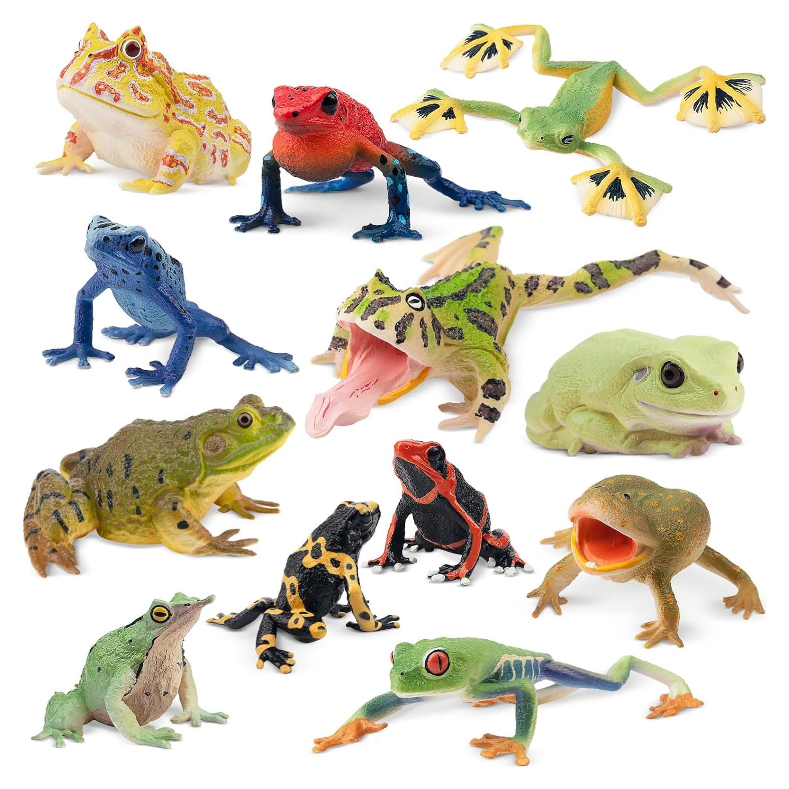 Set de Figuras de Ranas Toymany - 12PCS Juguetes Realistas