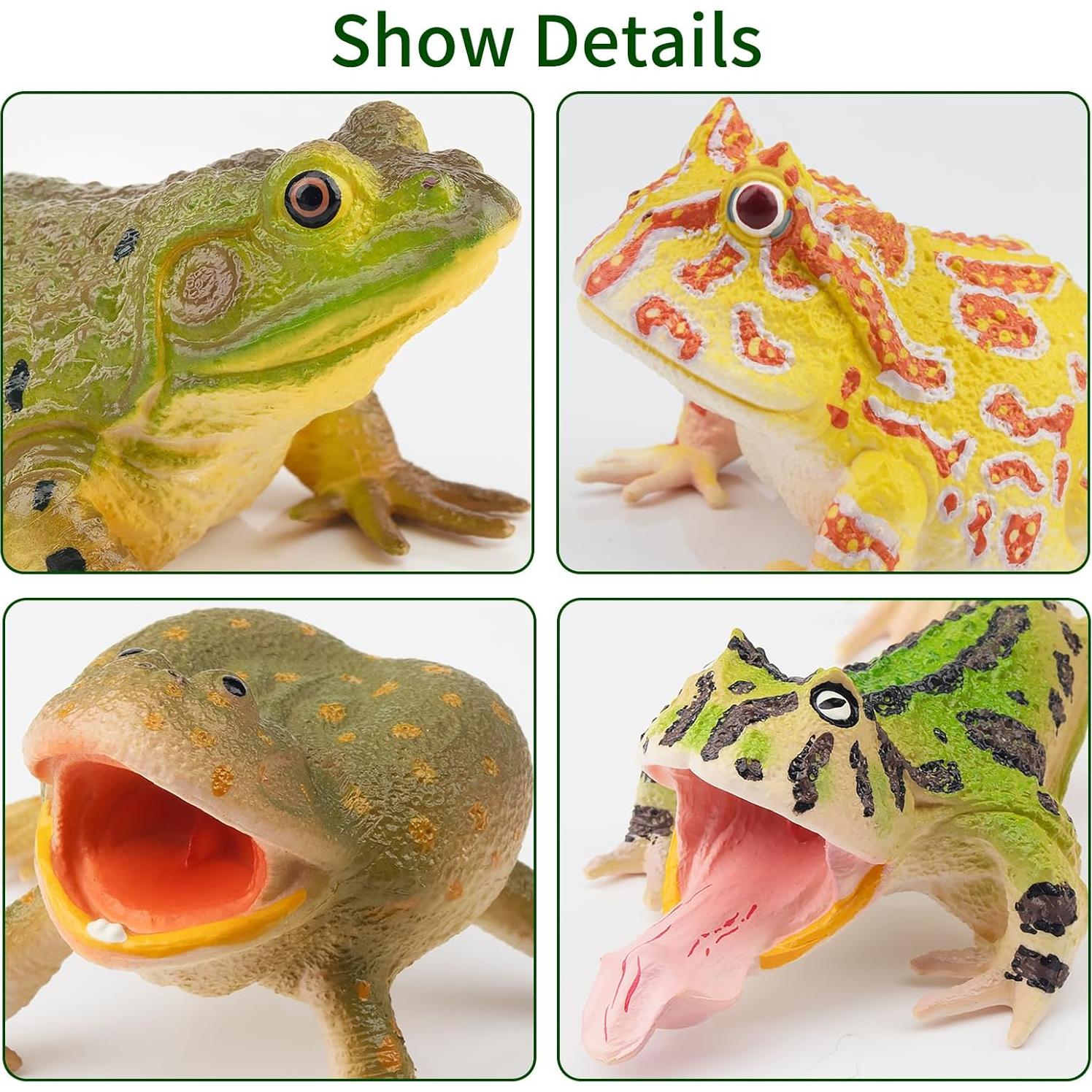 Set de Figuras de Ranas Toymany - 12PCS Juguetes Realistas