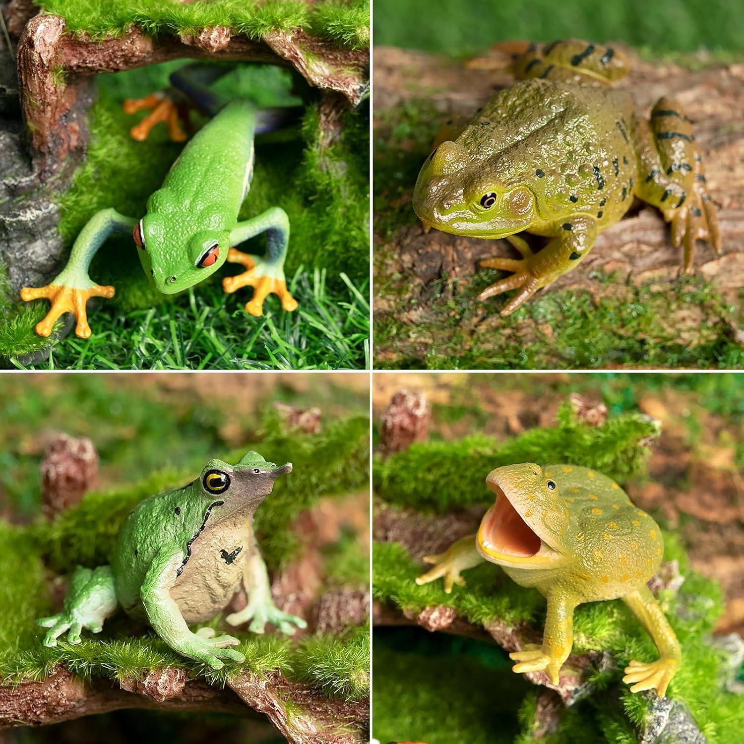 Set de Figuras de Ranas Toymany - 12PCS Juguetes Realistas