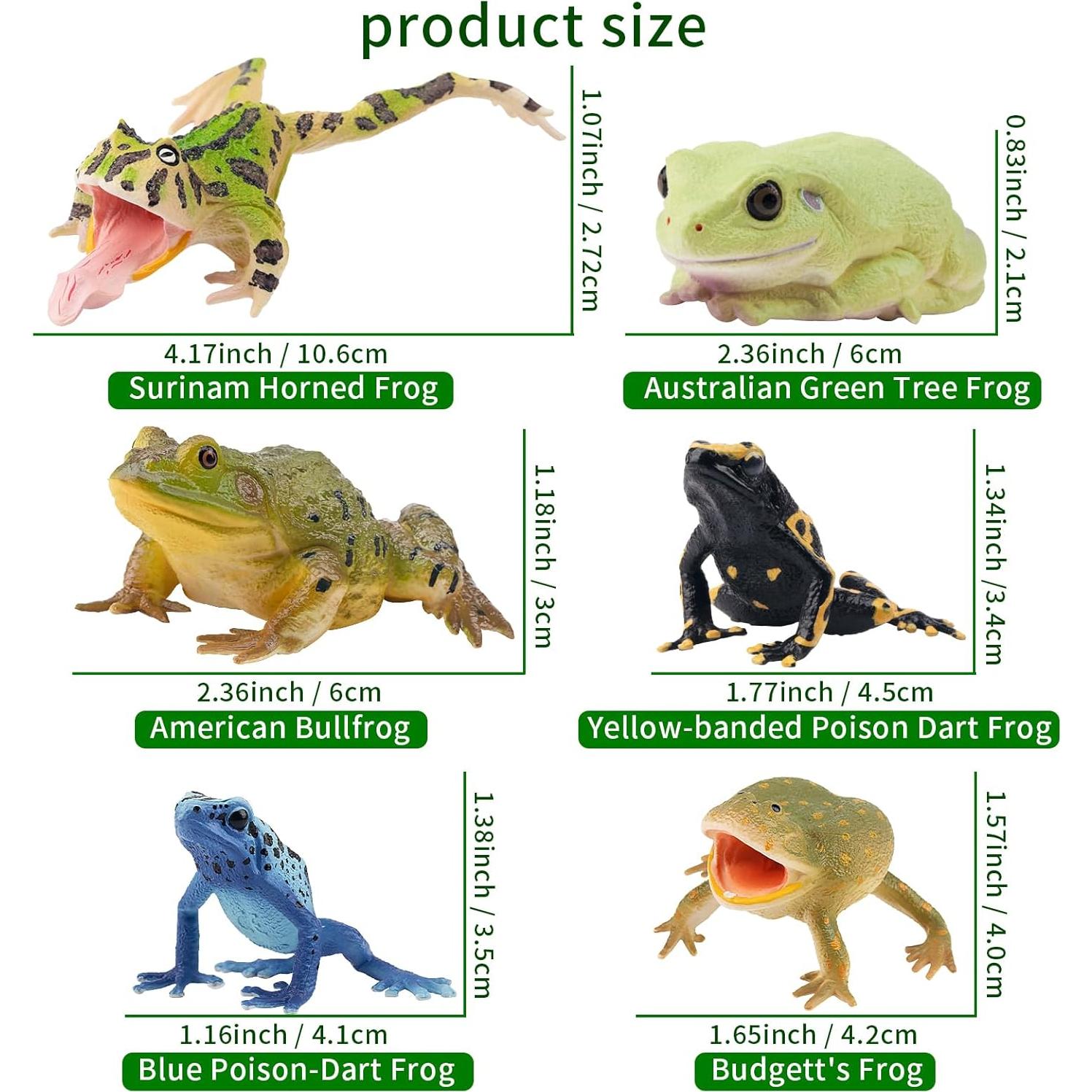 Set de Figuras de Ranas Toymany - 12PCS Juguetes Realistas