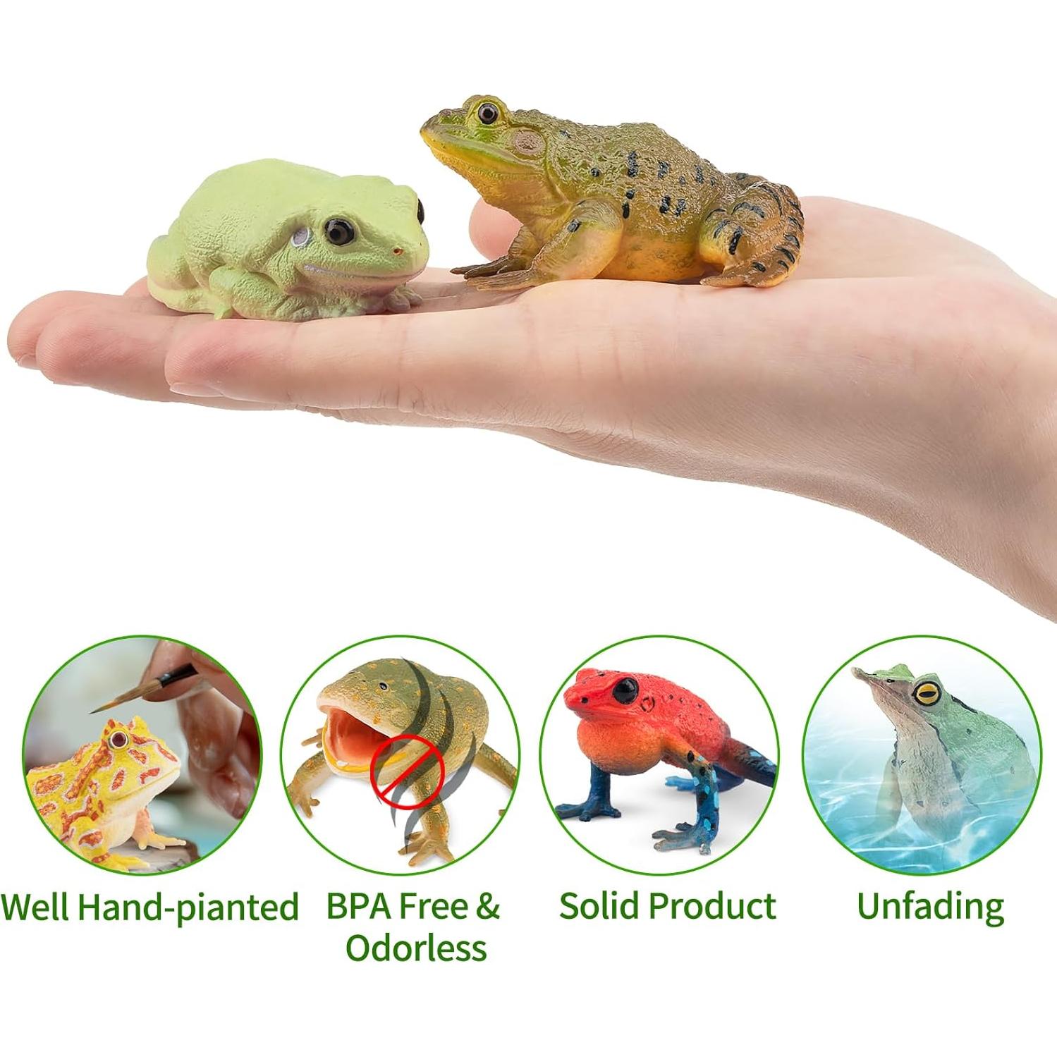 Set de Figuras de Ranas Toymany - 12PCS Juguetes Realistas