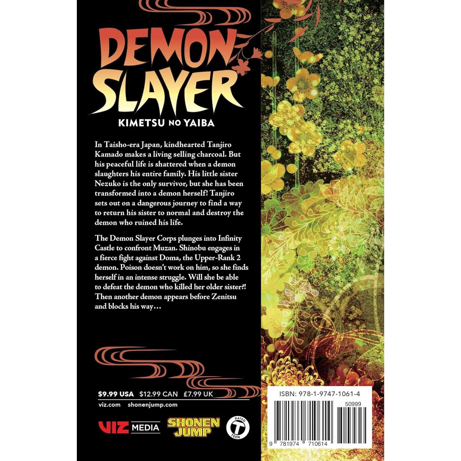 Demon Slayer: Kimetsu no Yaiba, Vol. 17