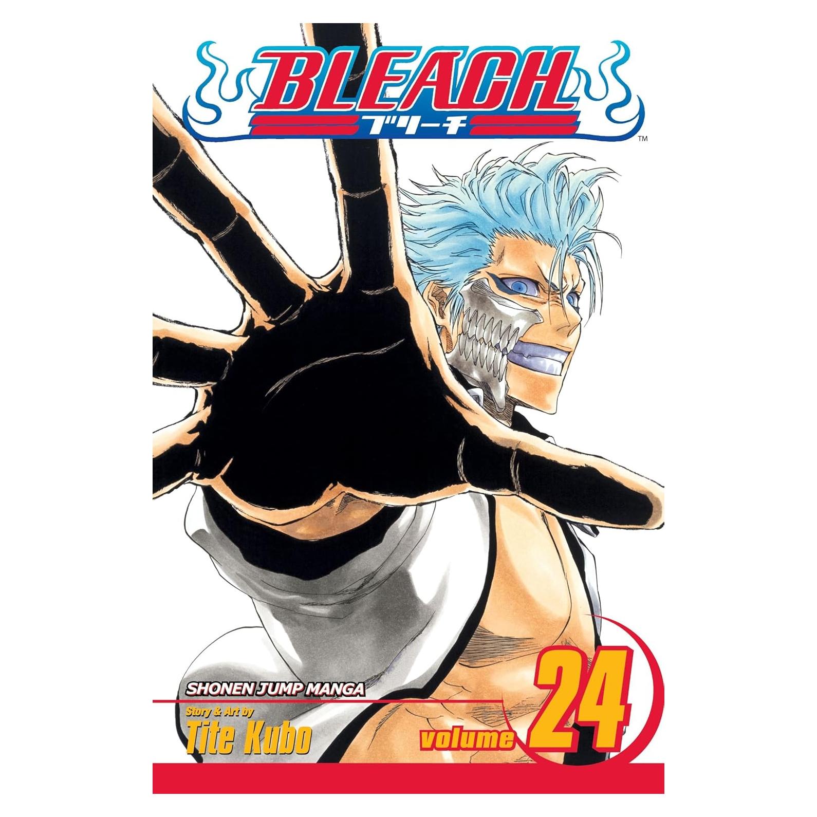 Bleach, Vol. 24