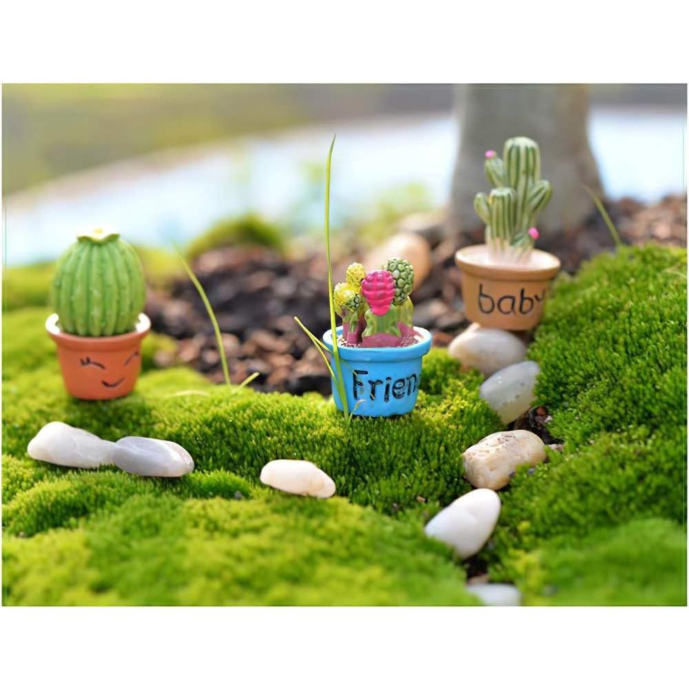 Set 7 Plantas Miniatura para Casa de Muñecas Lynkaye 1:12