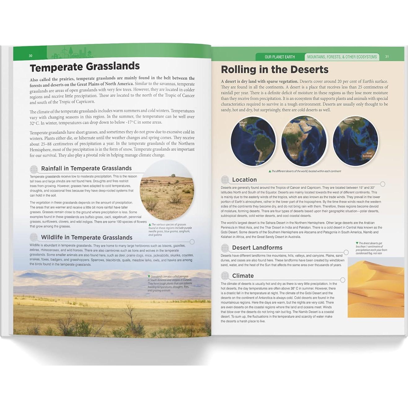 Knowledge Encyclopedia: Our Planet Earth (Knowledge Encyclopedia For Children)