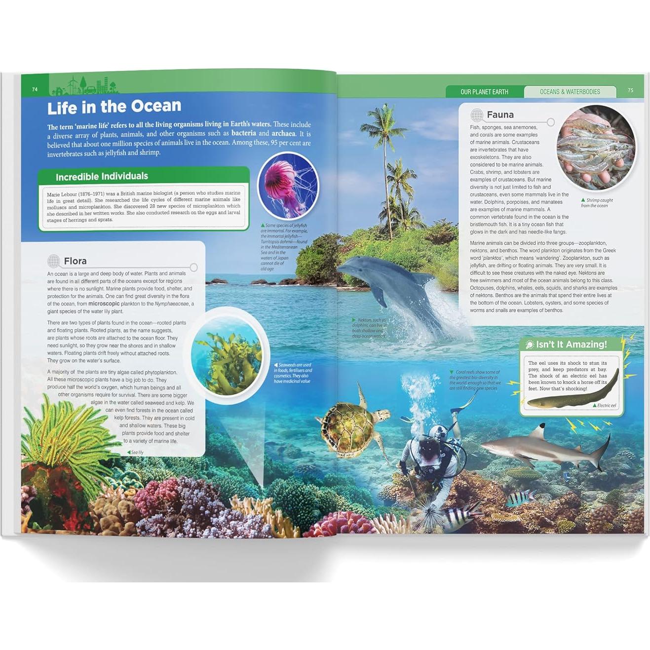 Knowledge Encyclopedia: Our Planet Earth (Knowledge Encyclopedia For Children)