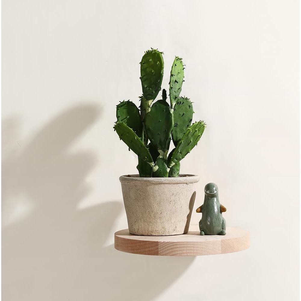 Estantes Flotantes de Madera Z metnal 20 cm - 2 Unidades