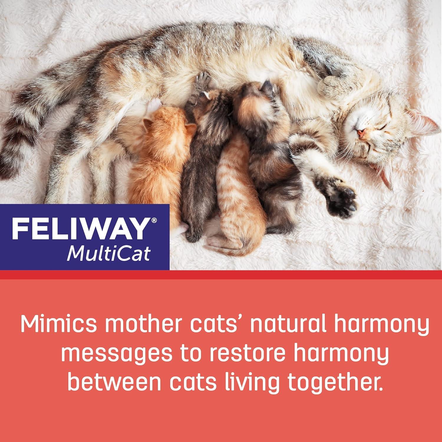 FELIWAY MultiCat 6 Recargas de Feromonas 48ml para Gatos