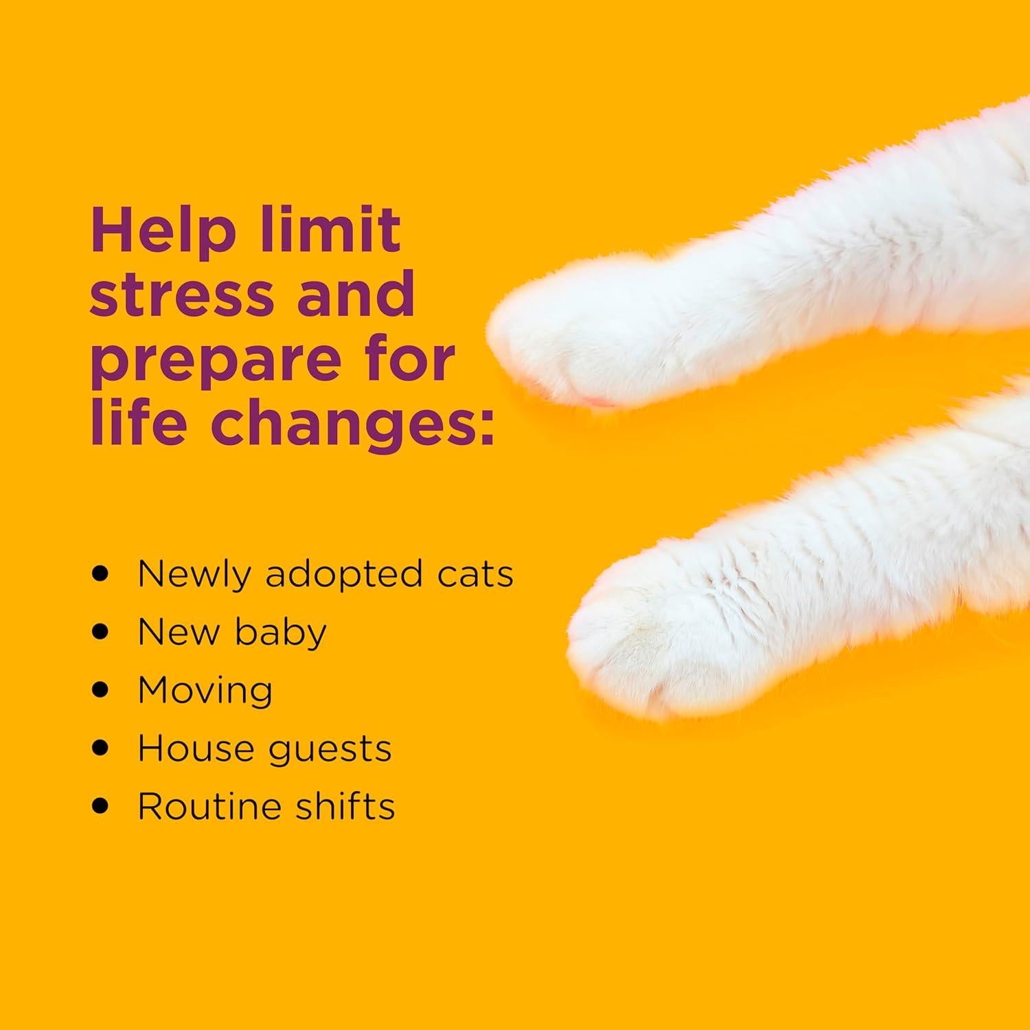 Kit de Inicio Comfort Zone: Difusor y 2 Recargas para Gatos