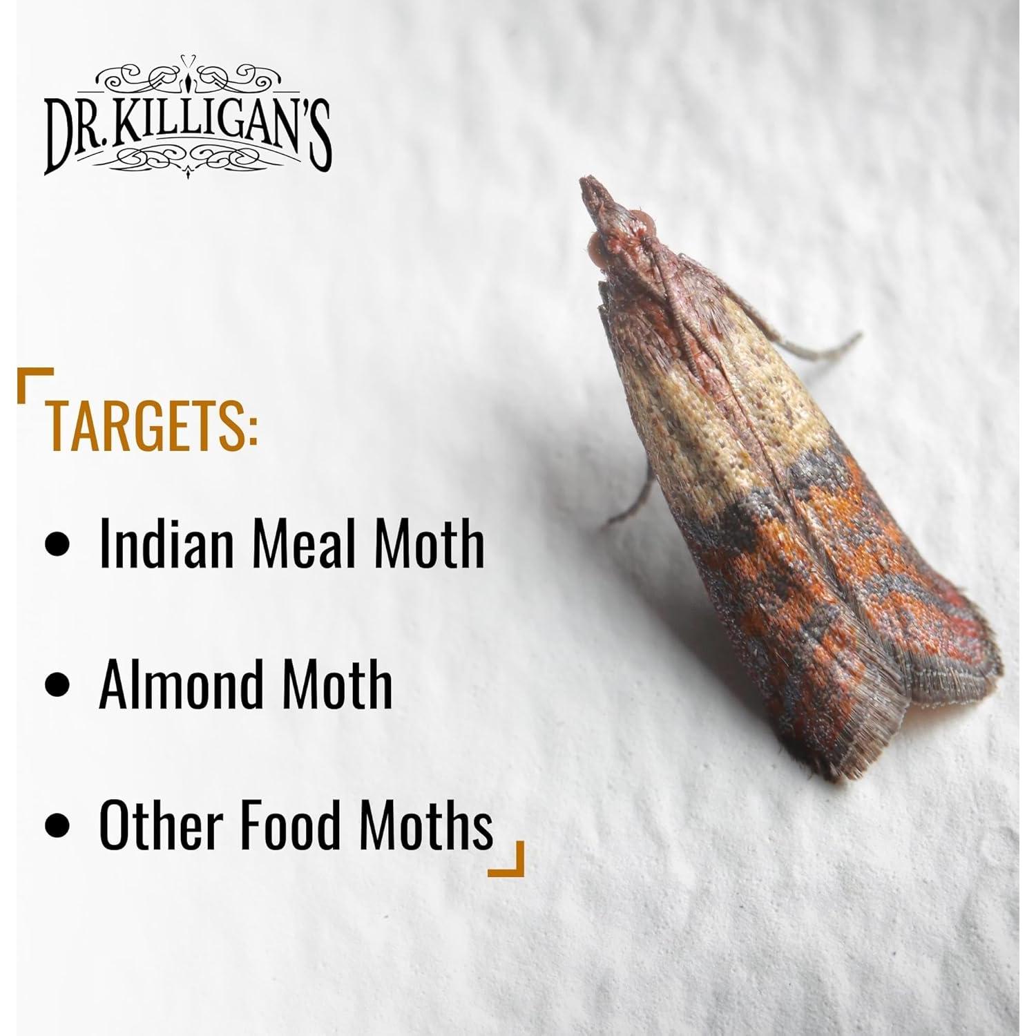 Trampas de Polilla de Alacena Dr. Killigan - 6 Unidades, Negro