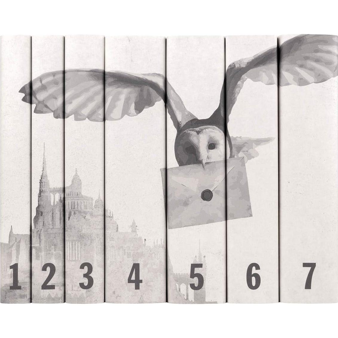 Cubiertas de Libros Harry Potter Juniper Books - Tapa Dura