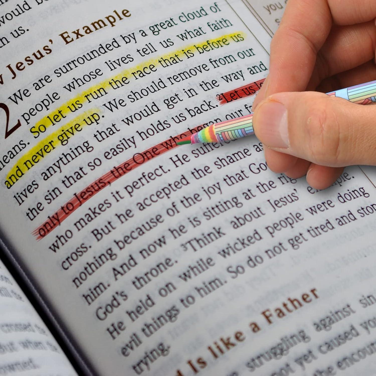 Lápices de Colores Arcoíris ECOTREE - Paquete de 12 Unidades