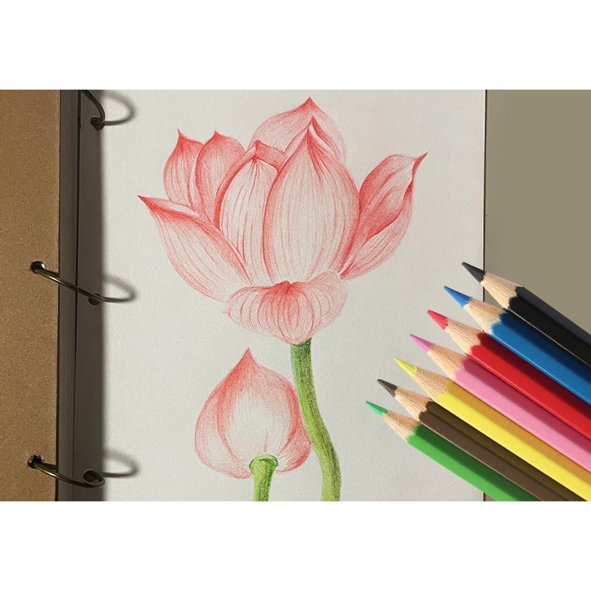 Lápices de Colores SKKSTATIONERY 144 Pcs Pre-afilados 7"