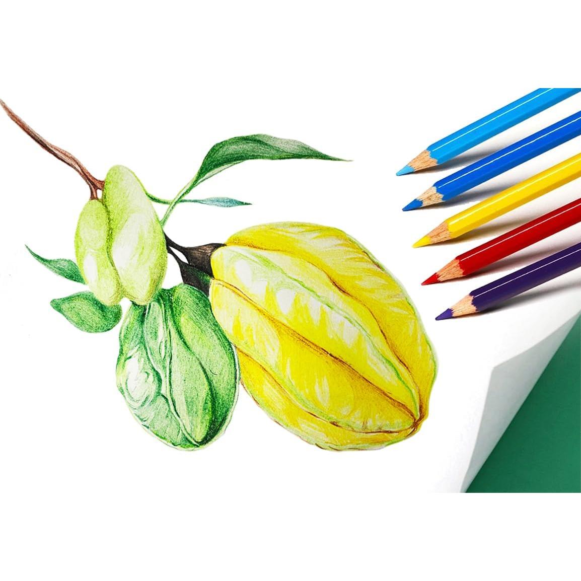 Lápices de Colores SKKSTATIONERY 144 Pcs Pre-afilados 7"