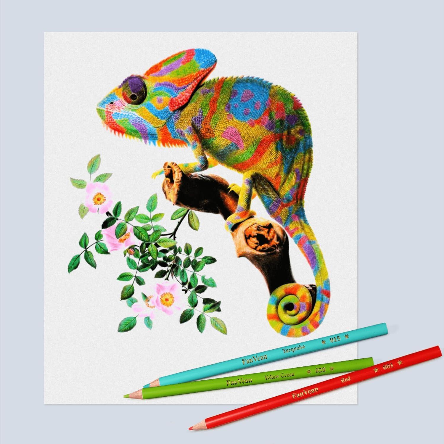 Juego de Lápices de Colores 50 unidades FanVean Multicolor