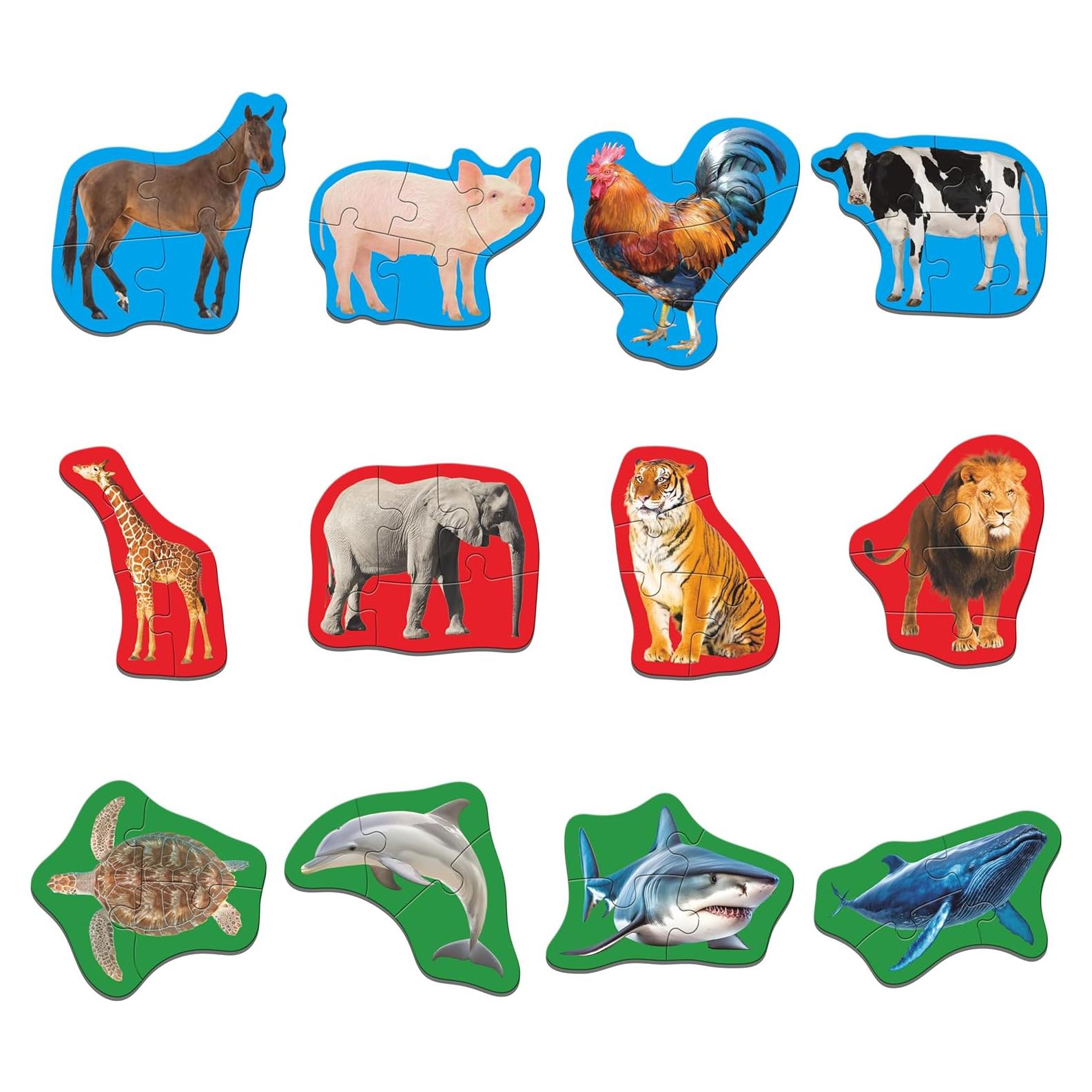 Paquete de 12 Rompecabezas de Animales SpriteGru - 48 Piezas