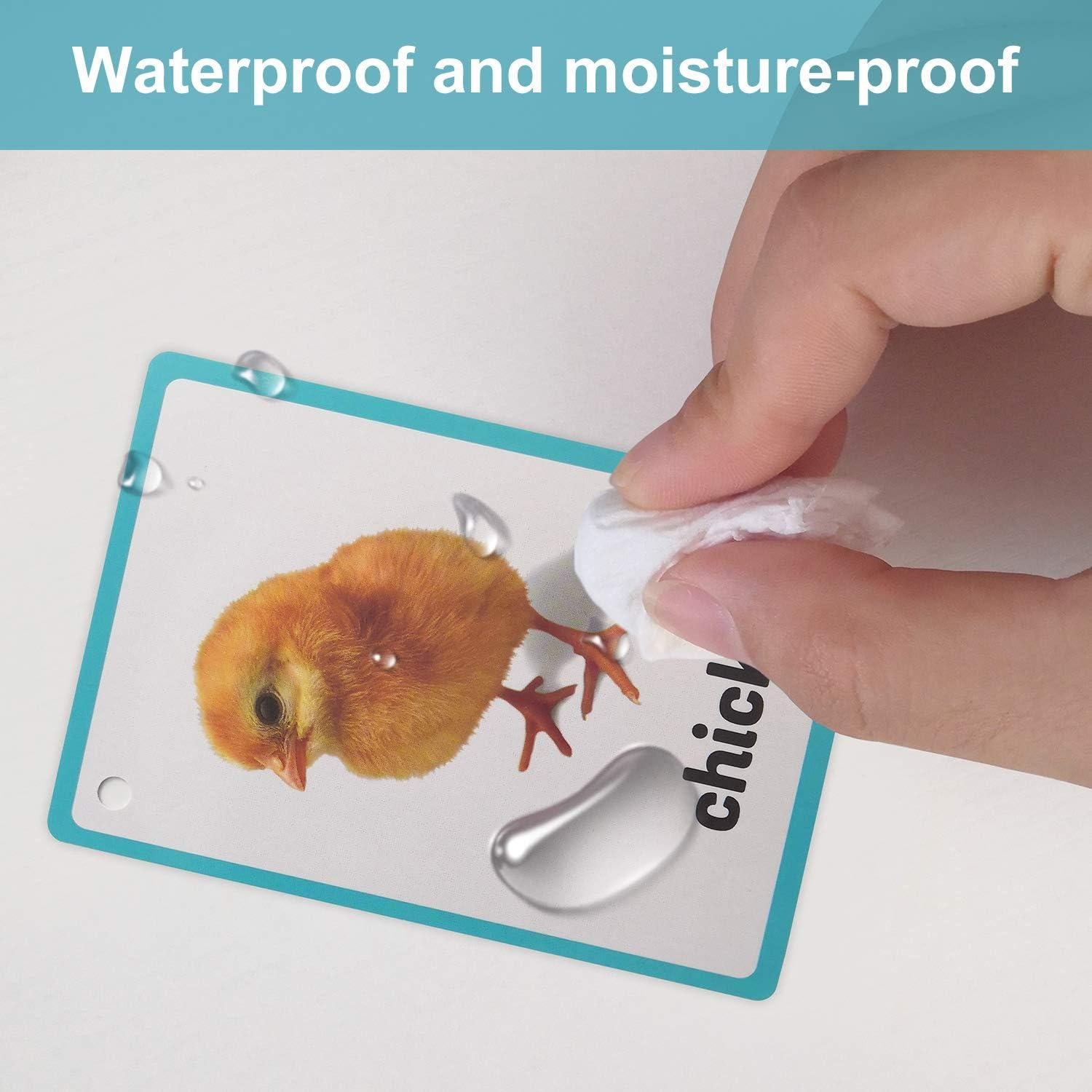 Tarjetas Didácticas Animales de Granja Lachilly 18 Piezas