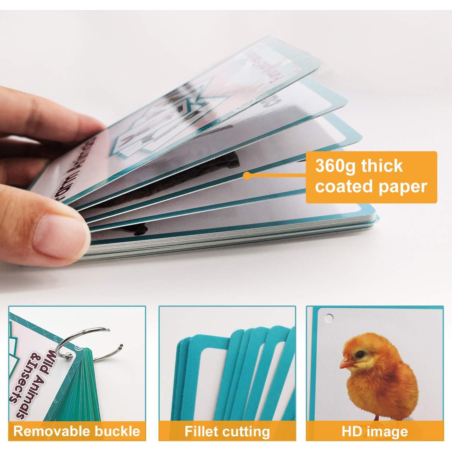 Tarjetas Didácticas Animales de Granja Lachilly 18 Piezas