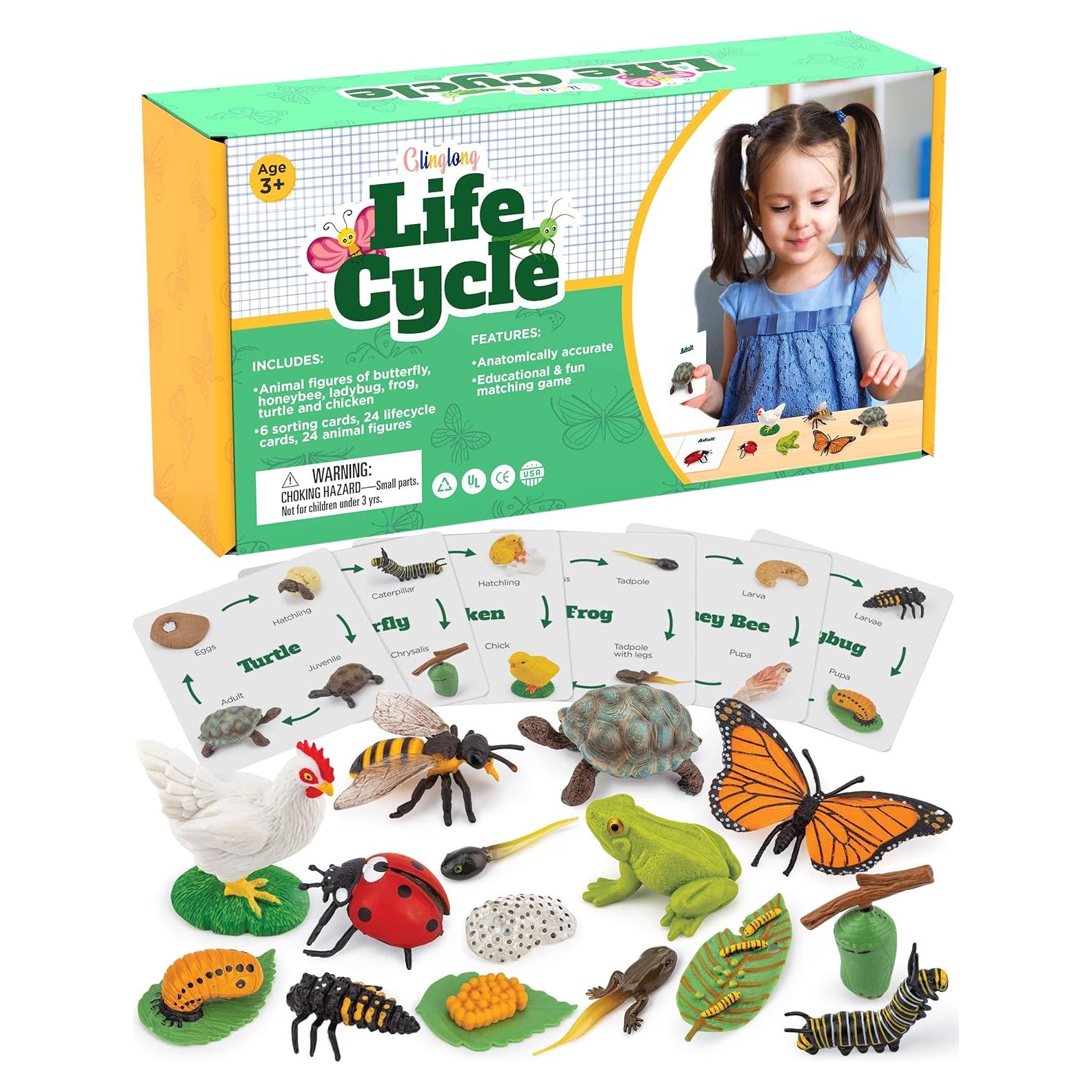 Kit de Ciclo de Vida de Animales GLINGLONG - 24 Piezas Educativas