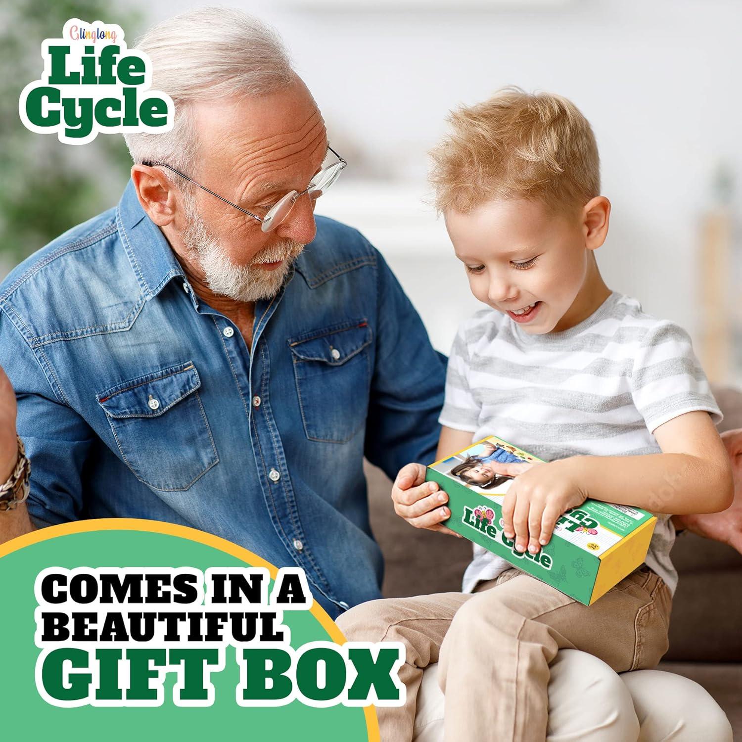 Kit de Ciclo de Vida de Animales GLINGLONG - 24 Piezas Educativas