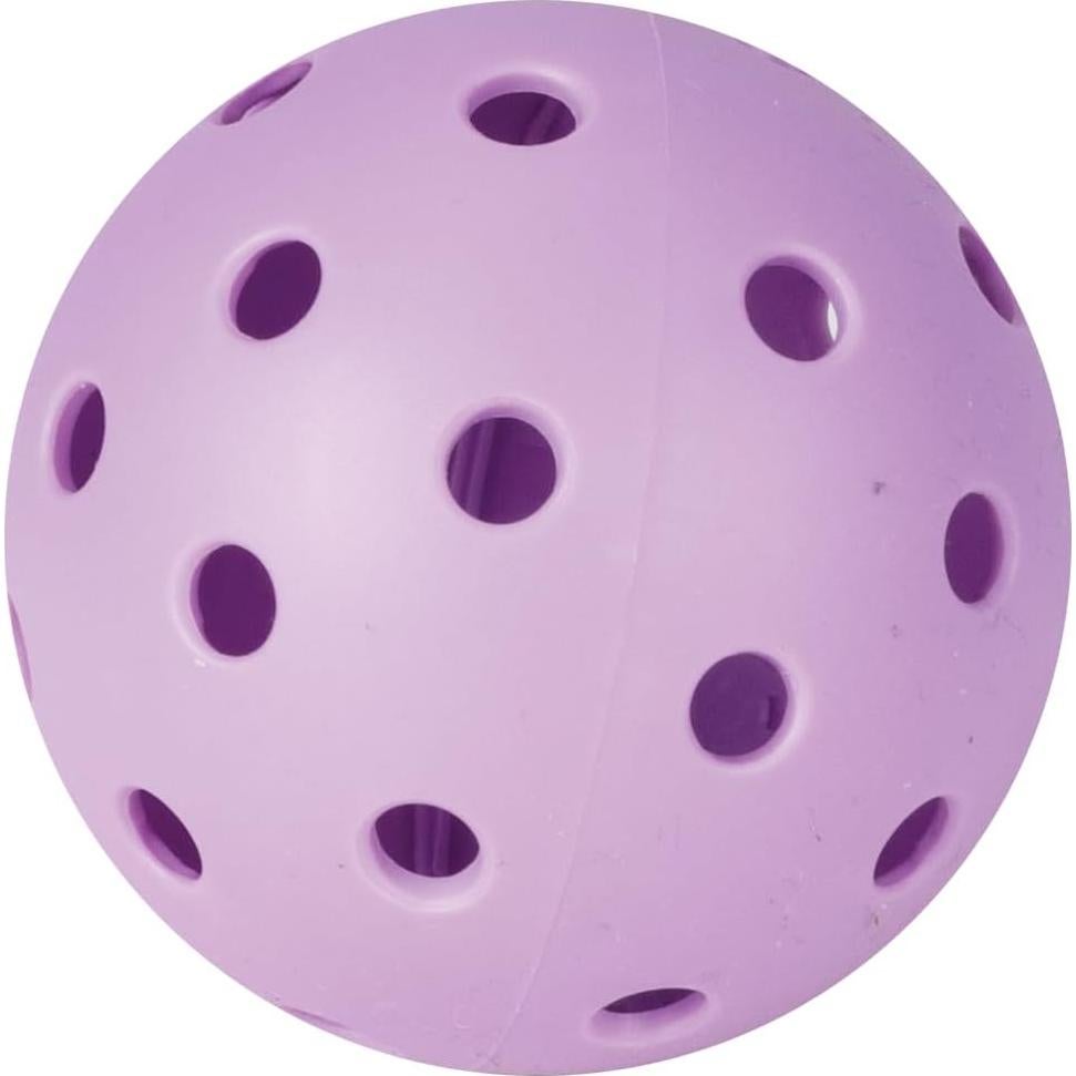 Conjunto de Pickleball Barbie - 2 Palas, 1 Pelota y Red