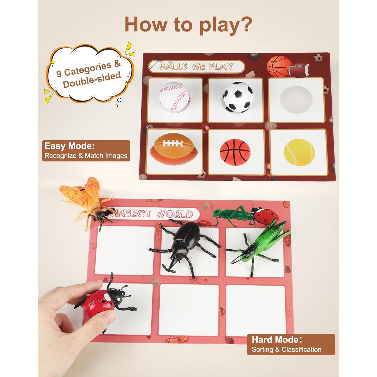 Juguetes de Clasificación Educativa MOTGOM - 54 Piezas