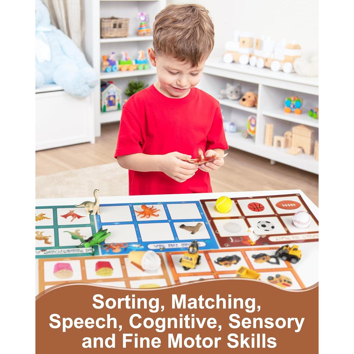 Juguetes de Clasificación Educativa MOTGOM - 54 Piezas