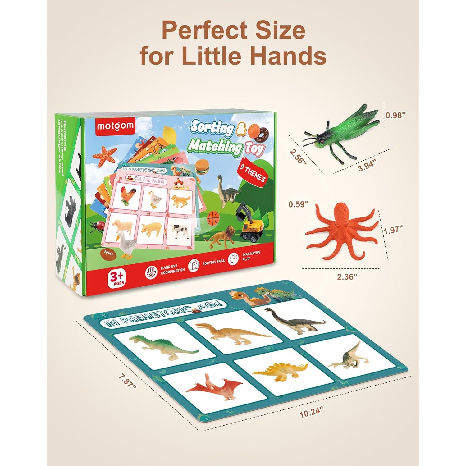 Juguetes de Clasificación Educativa MOTGOM - 54 Piezas