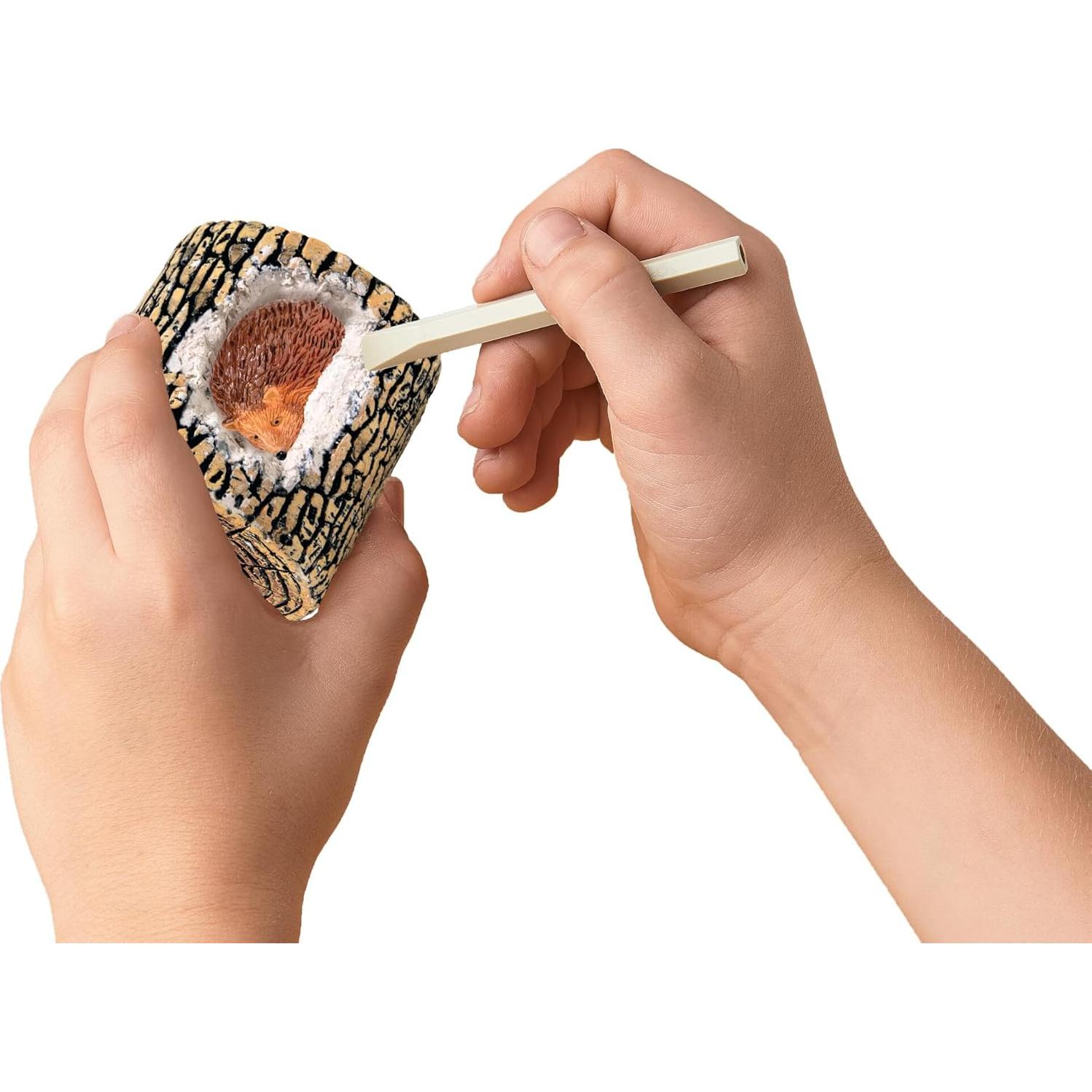 Kit de Excavación Animales del Bosque MindWare - 12 Proyectos