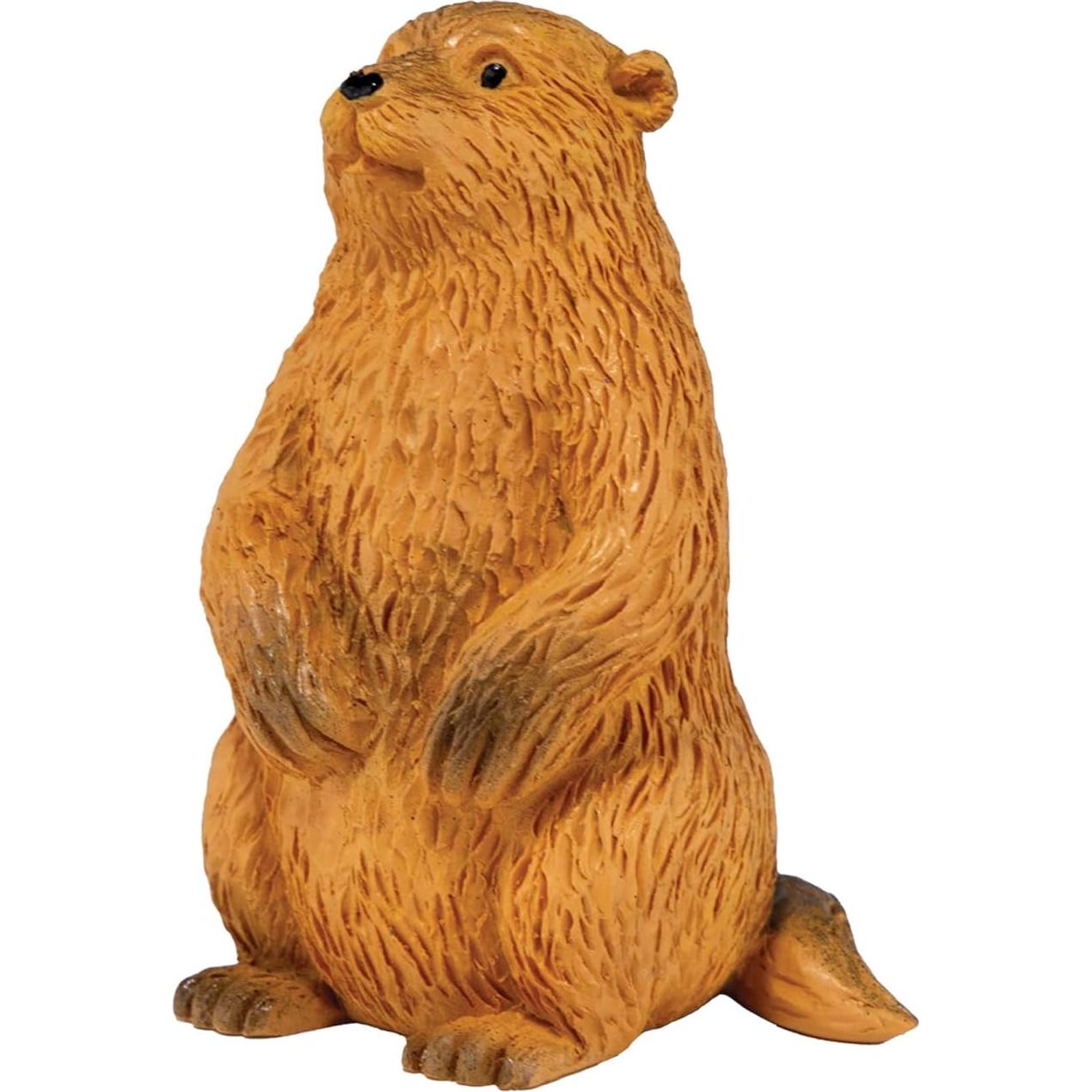 Kit de Excavación Animales del Bosque MindWare - 12 Proyectos