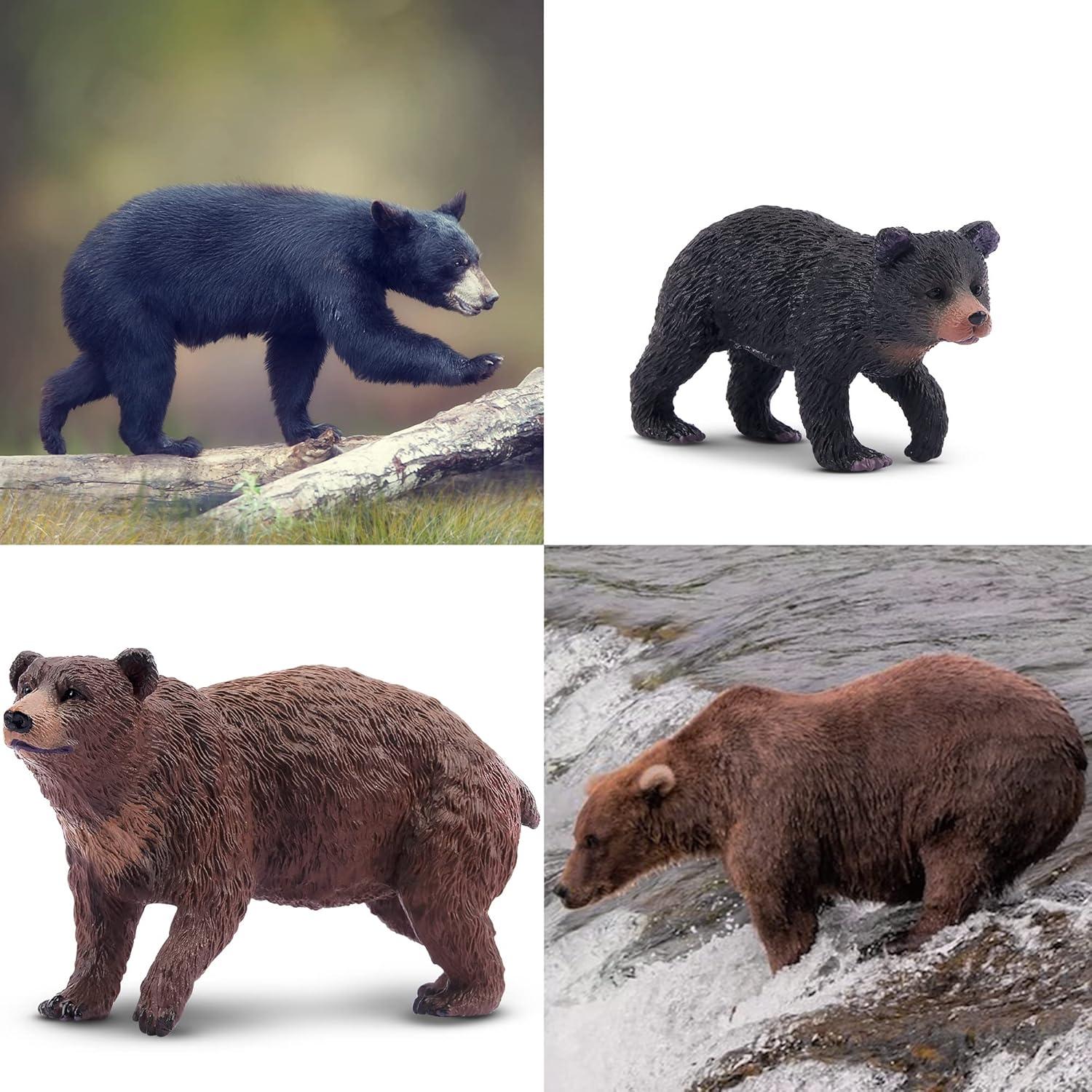 Figuras de Osos Realistas Toymany - Set 6 Piezas Educativas