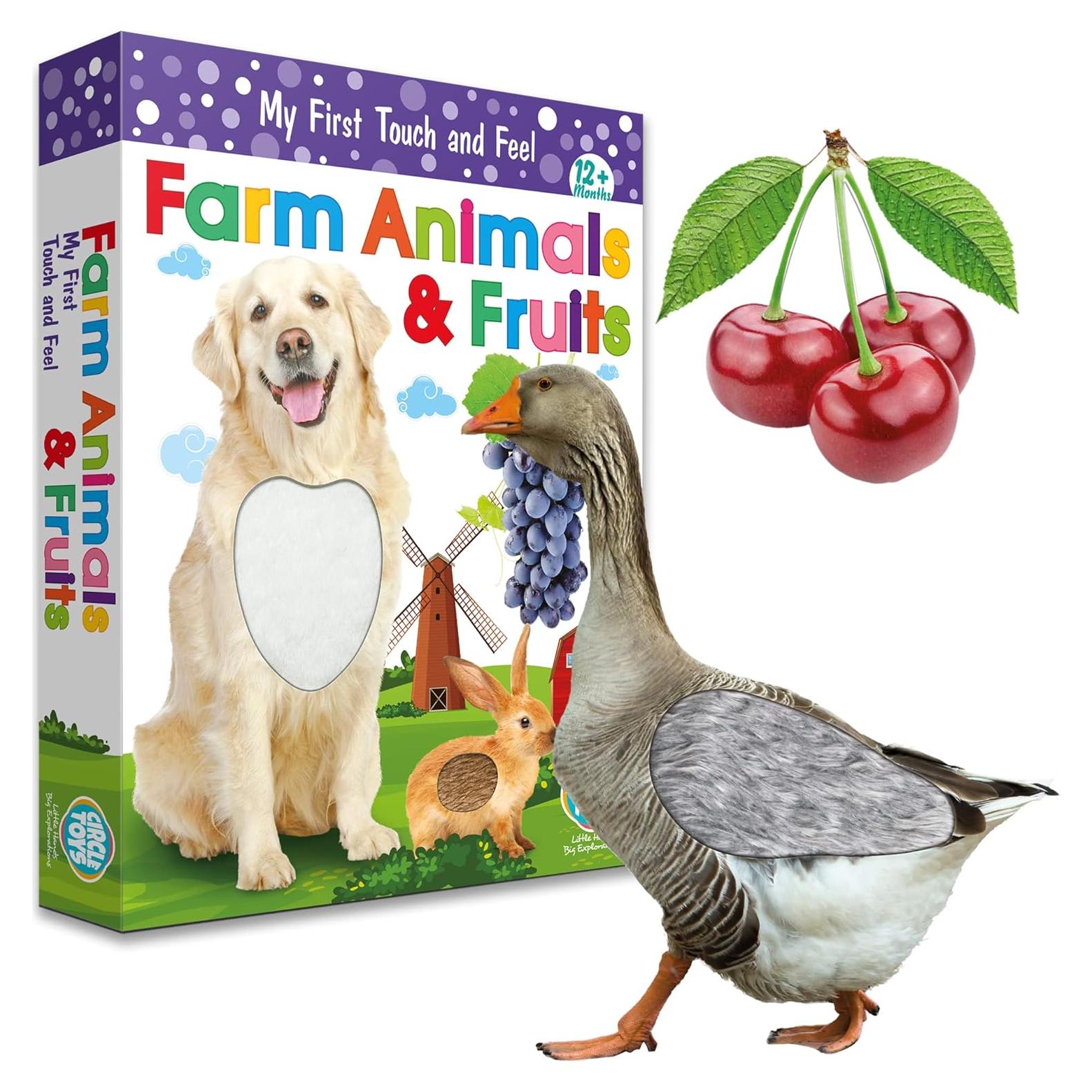 Tarjetas de Flash Tocar y Sentir UGOS - Animales y Frutas