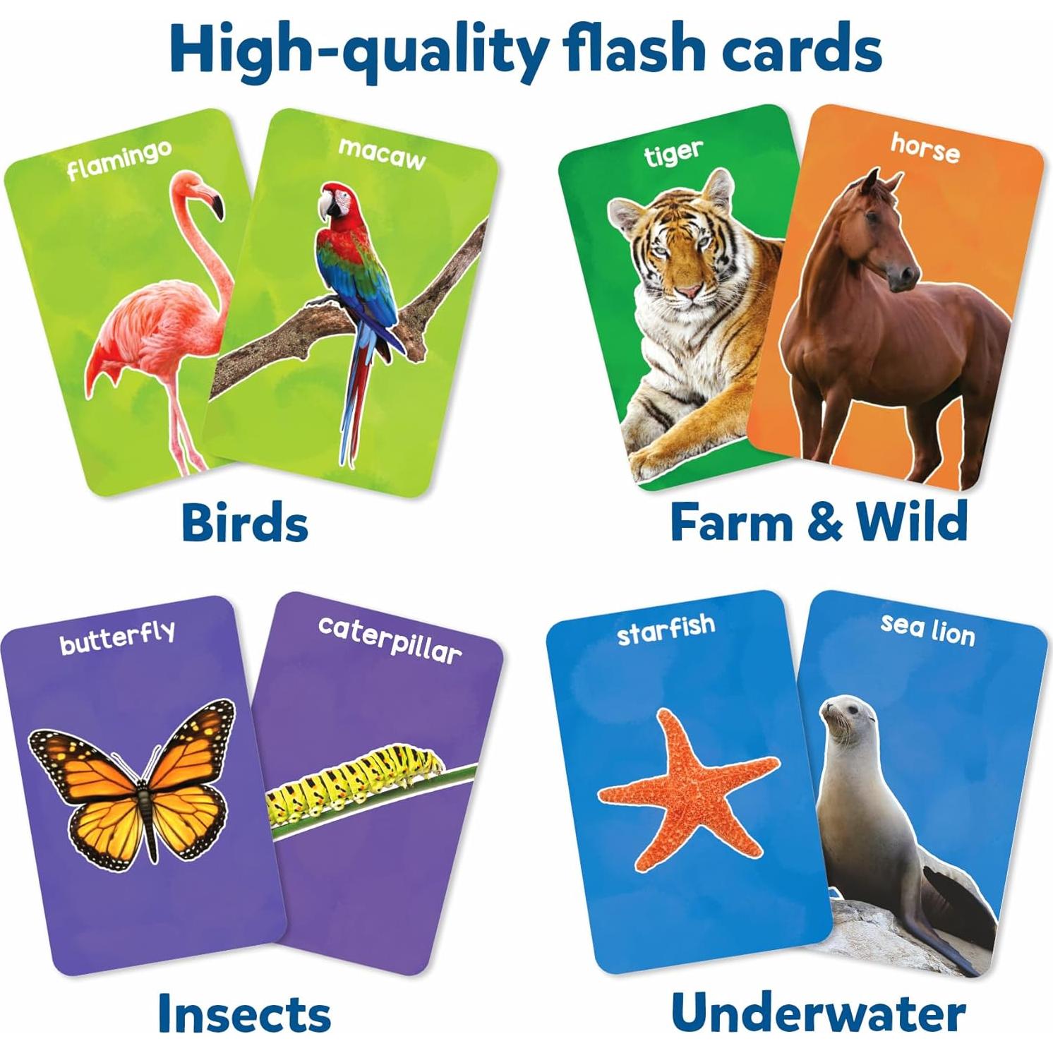 Tarjetas de Flash Skillmatics Primeros 100 Animales - 50 Piezas