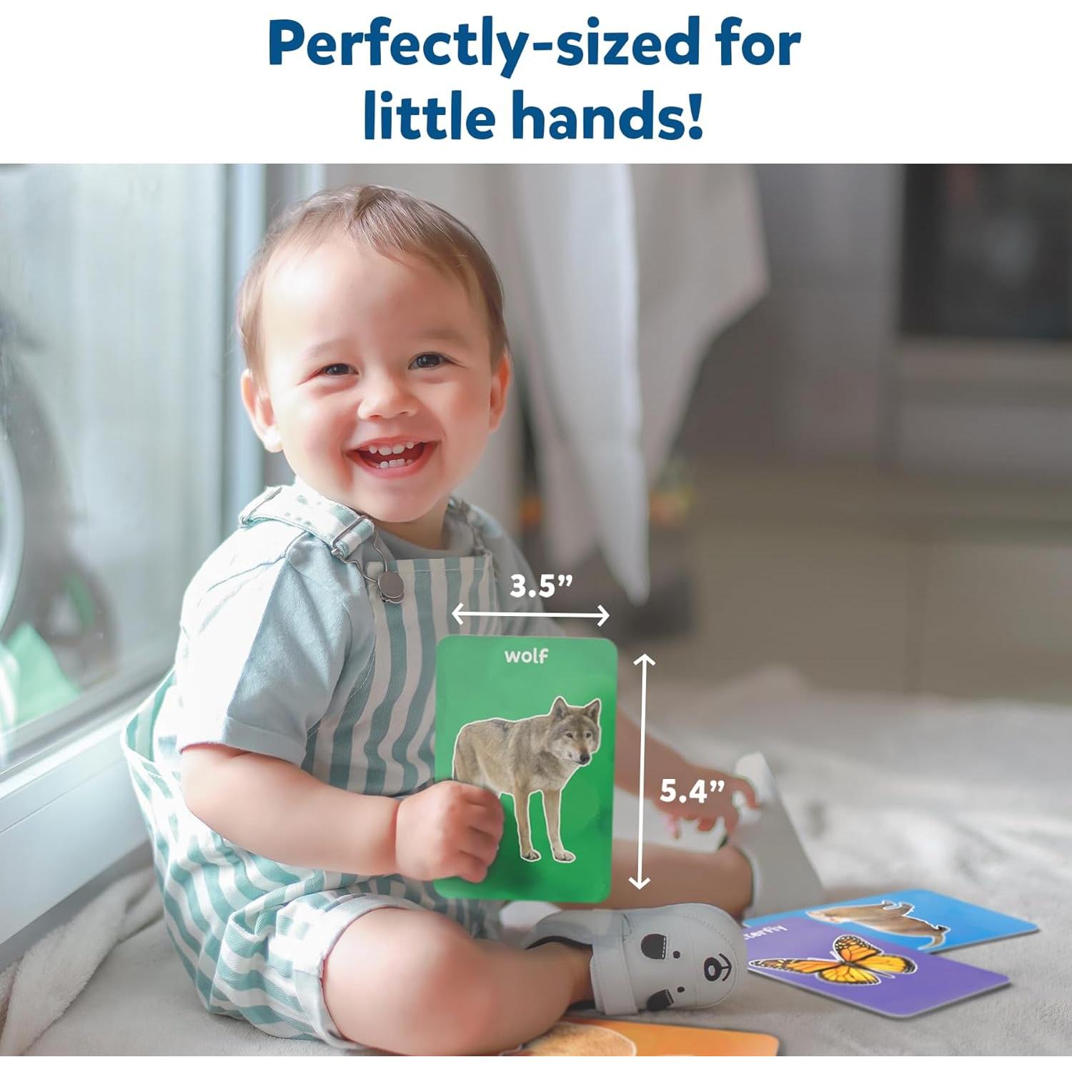 Tarjetas de Flash Skillmatics Primeros 100 Animales - 50 Piezas