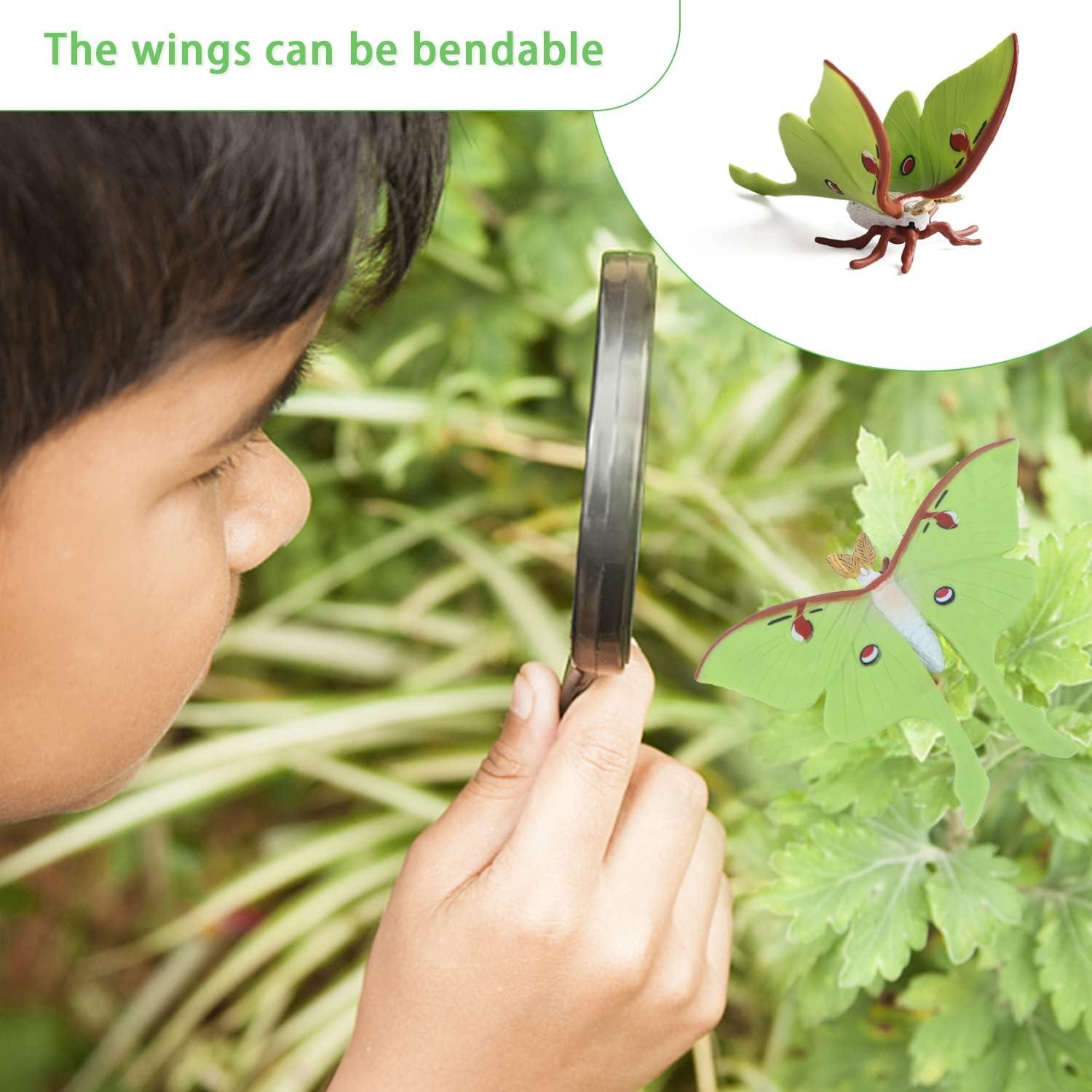 Conjunto de Ciclo de Vida de Mariposa SIENON - 8 Figuras Educativas