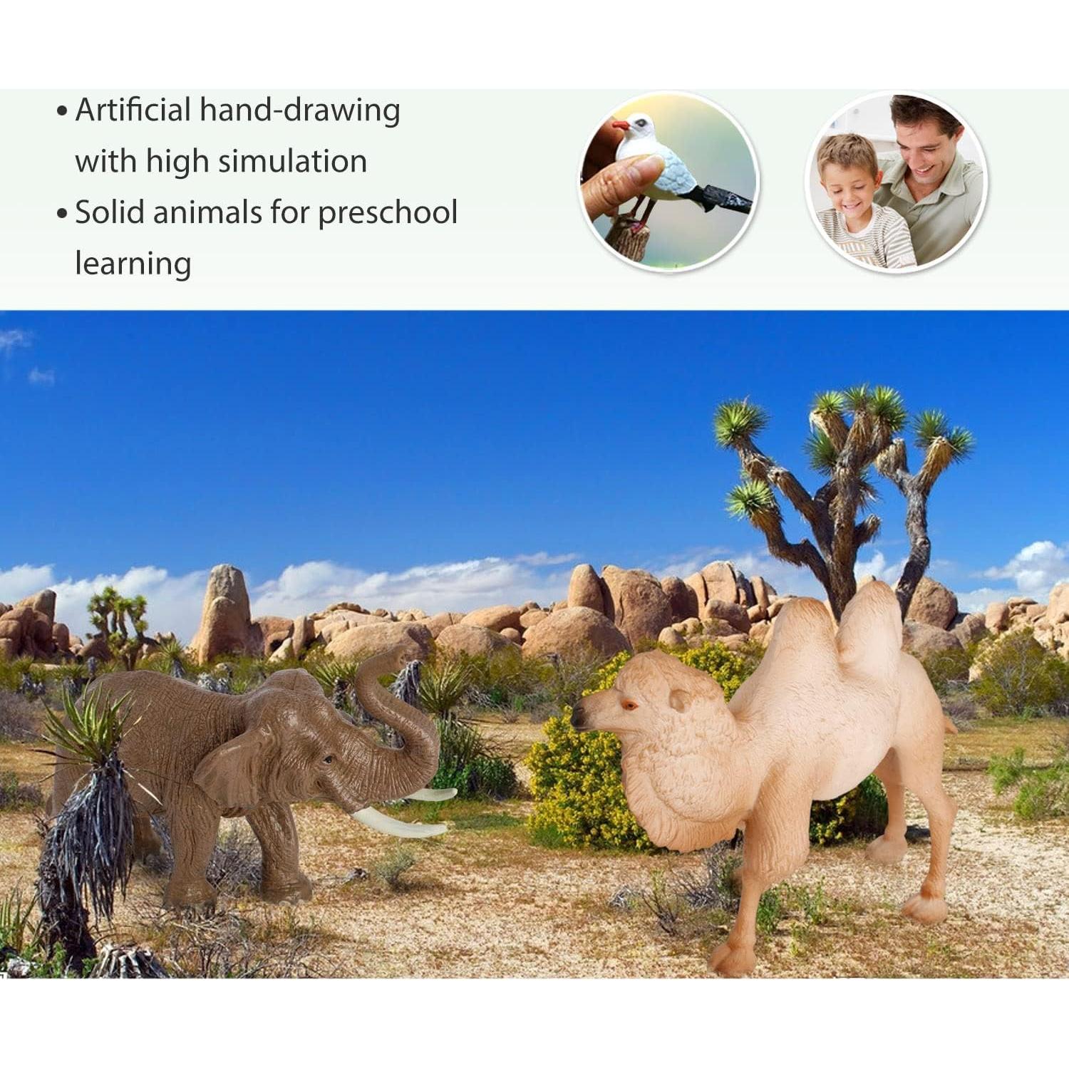 Set de 7 Figuras de Animales de Asia Volnau - Educativo