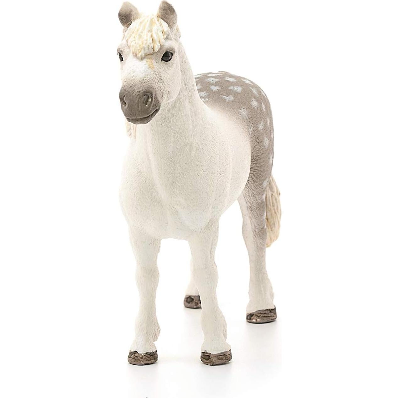 Figura de Juguete Poni Galés Macho Schleich 11.5 cm