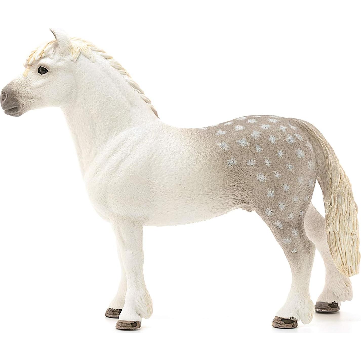 Figura de Juguete Poni Galés Macho Schleich 11.5 cm