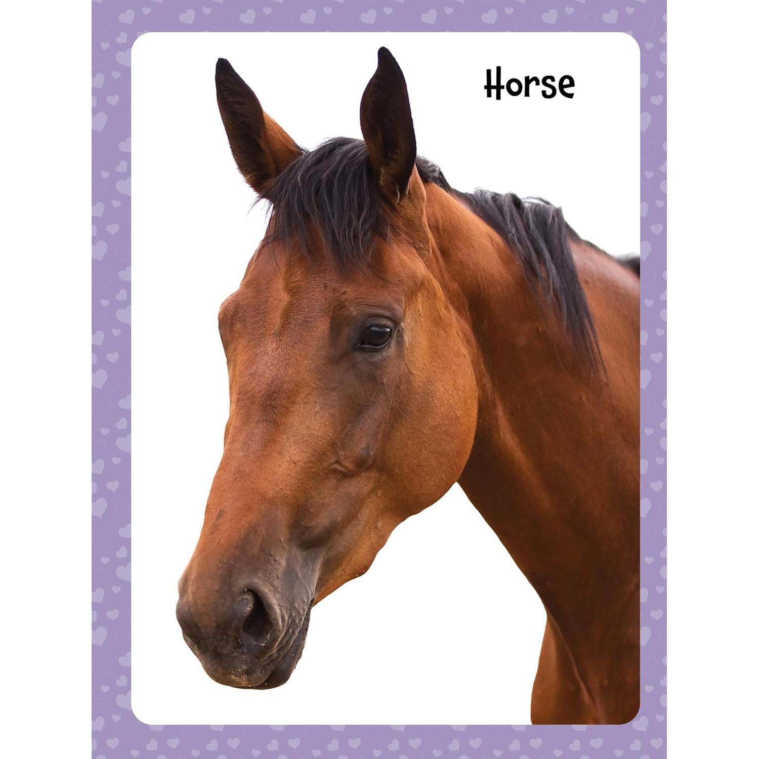 Libro de Pegatinas de Animales PAPP - Paquete de 4 Libros