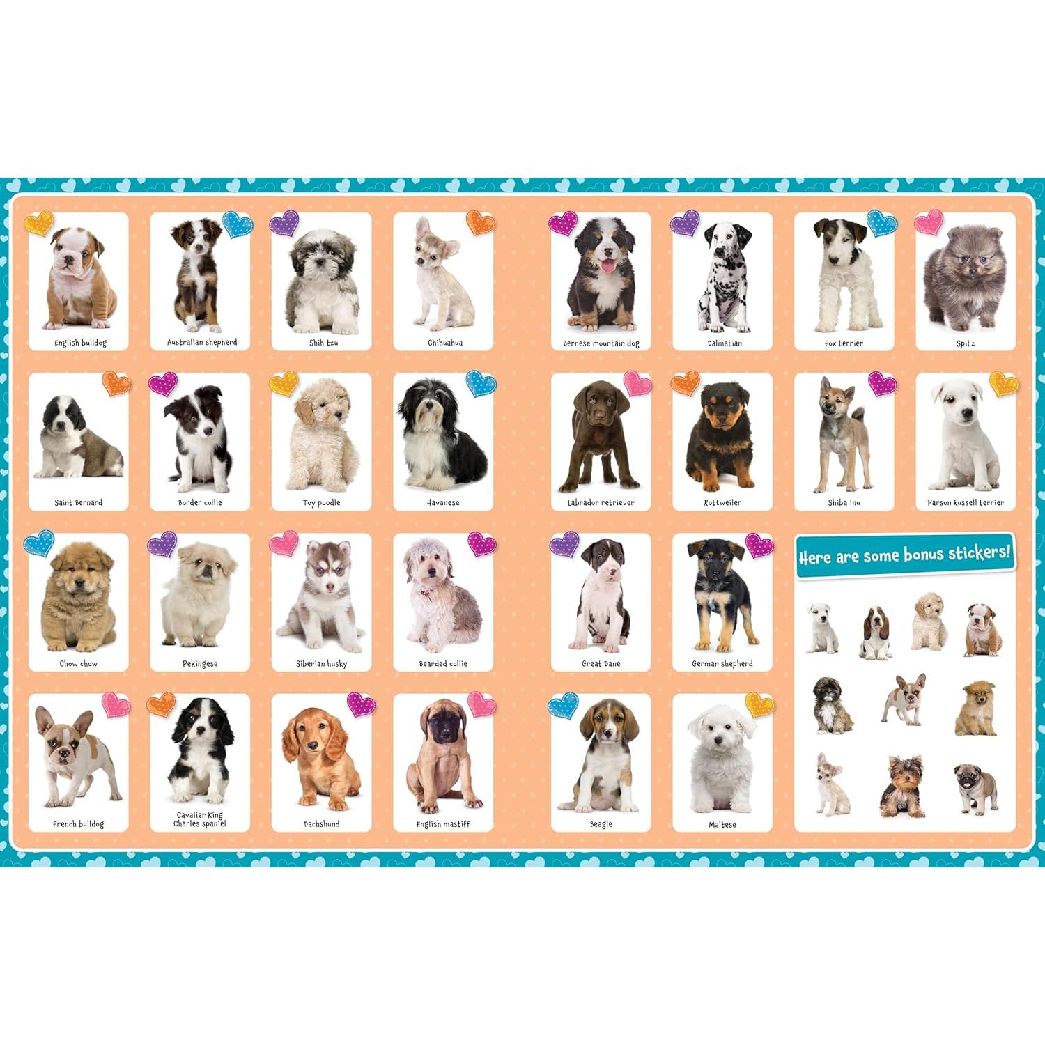 Libro de Pegatinas de Animales PAPP - Paquete de 4 Libros