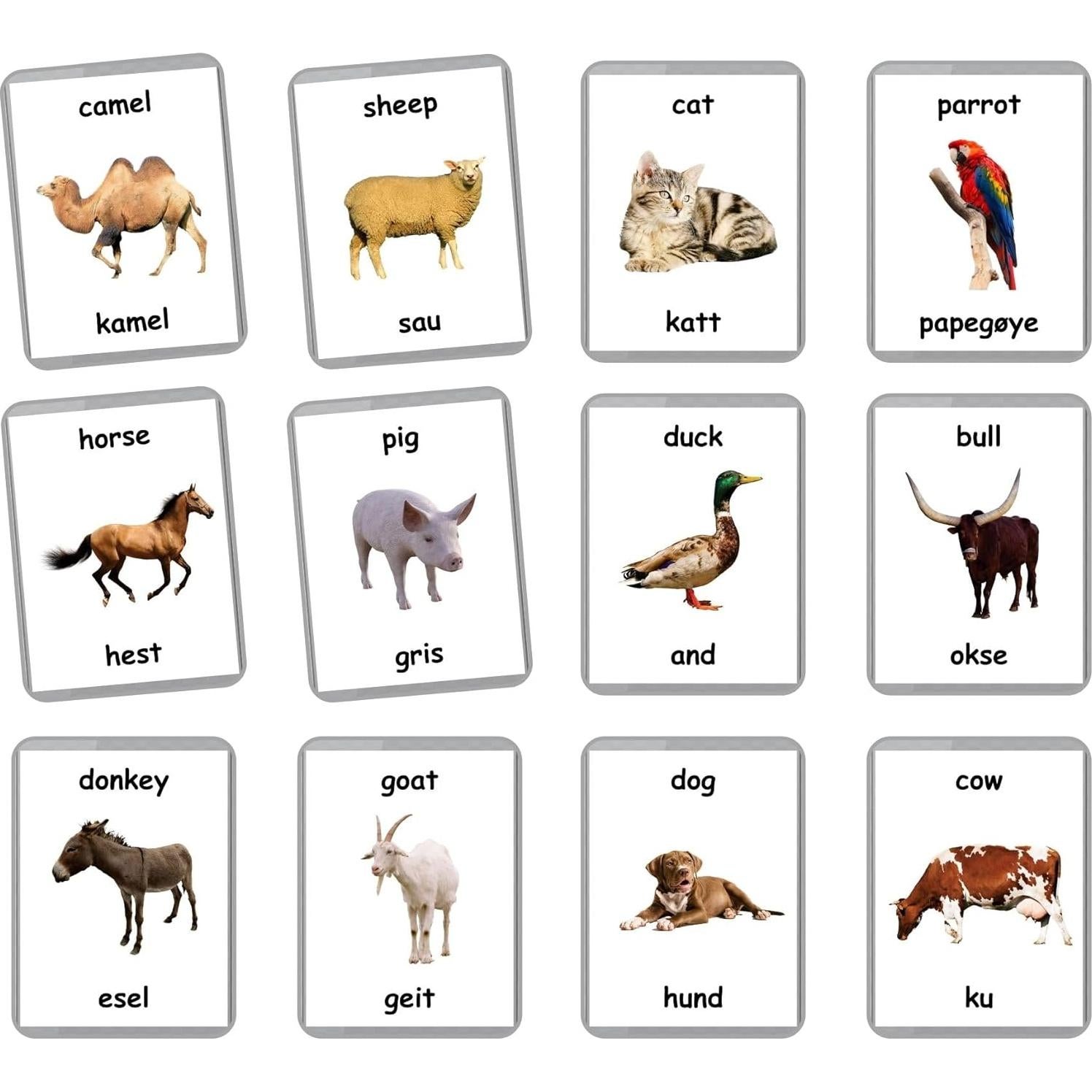 Tarjetas Didácticas Bilingües LifeLoLo - Animales de Granja